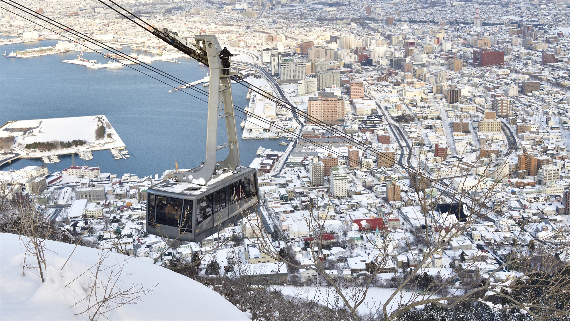 ◆函館山