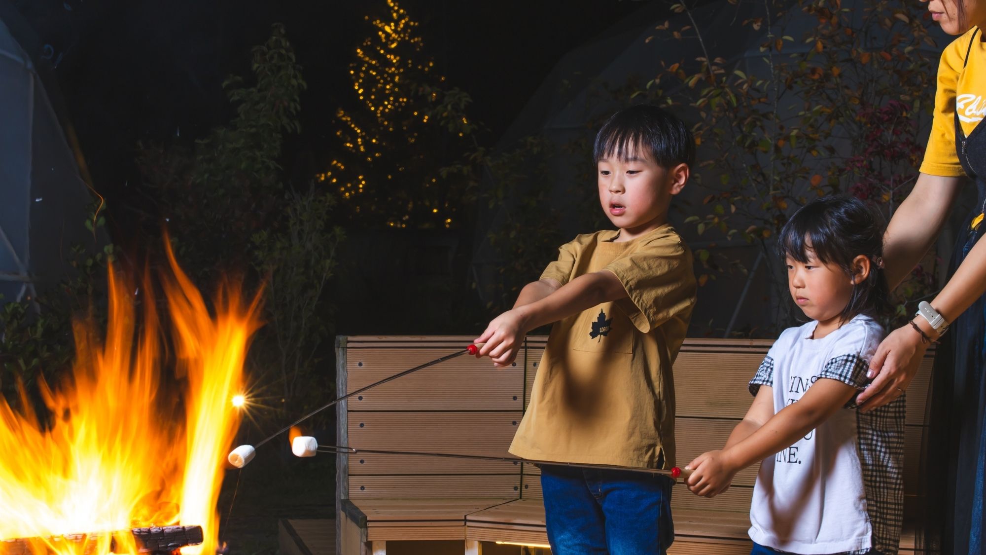 焚き火とマシュマロ