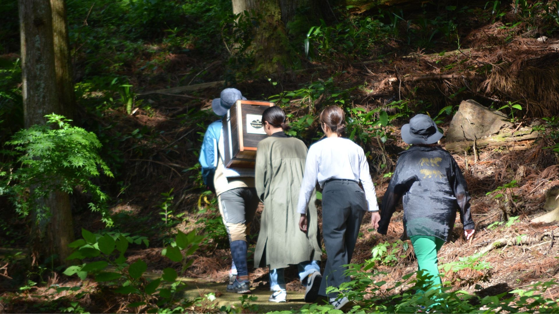 【絶景朝食】地元ガイドが案内！津和野城跡 新緑トレッキング×山頂朝ごはん＜夕食/基本会席★＞