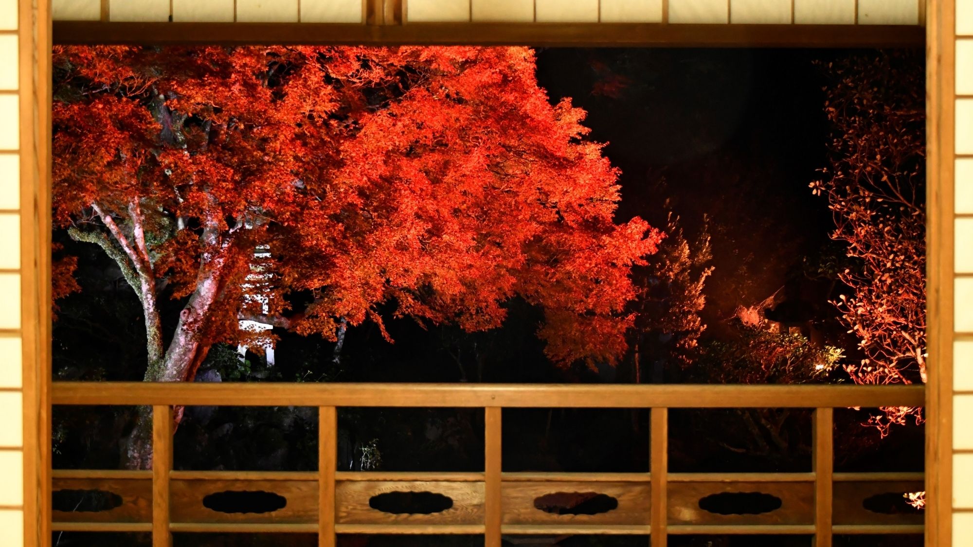 静寂に包まれた、堀庭園の紅葉ライトアップ（堀庭園/一例）