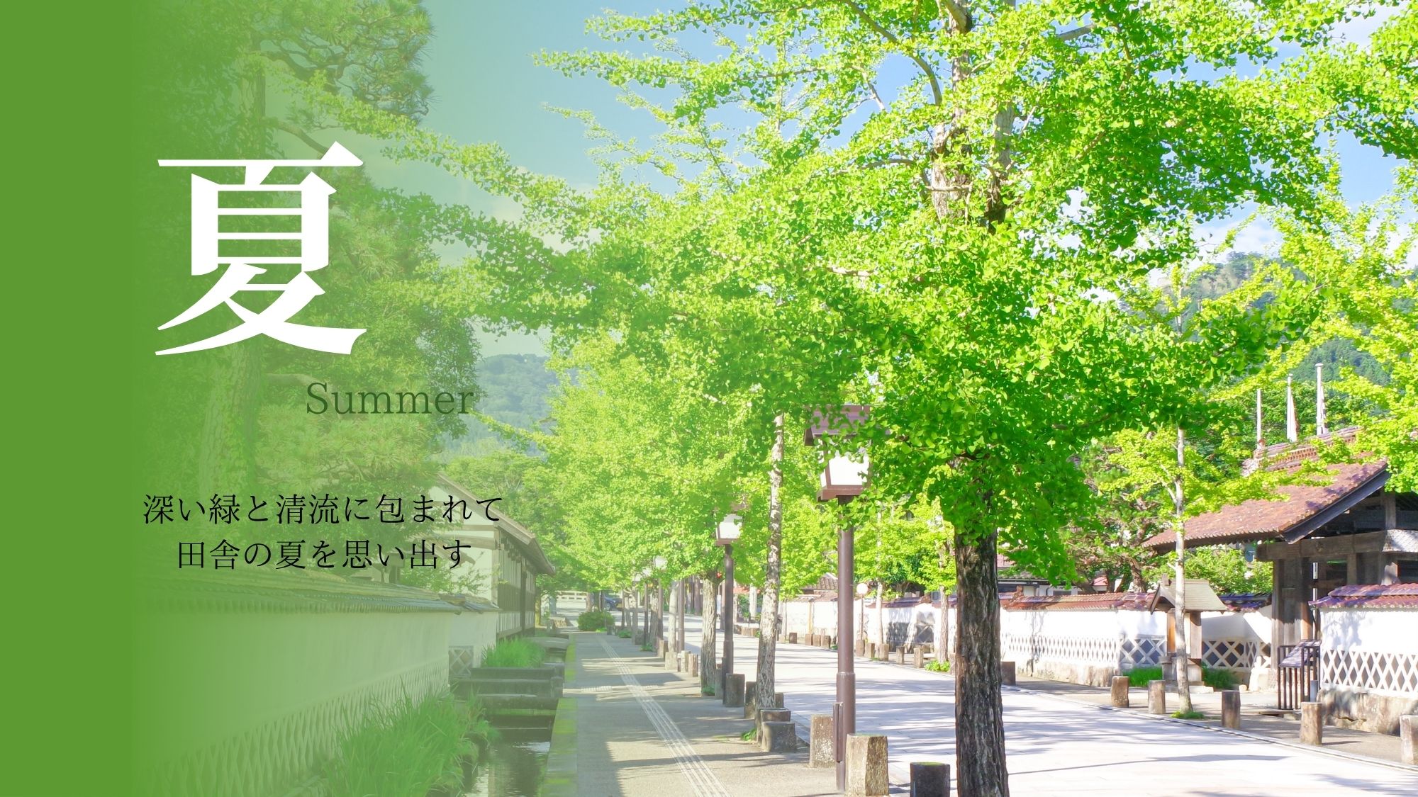 【夏の津和野旅】