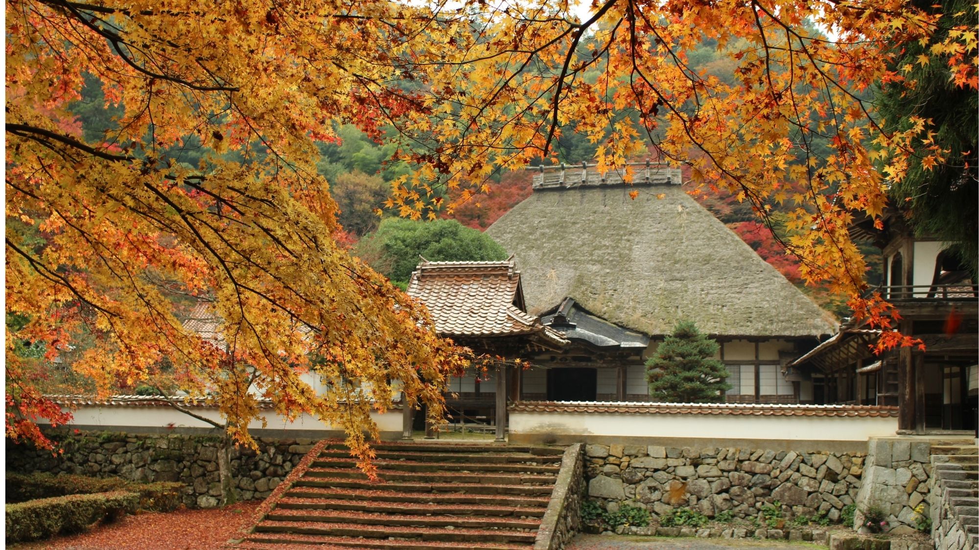 秋色に染まる、堀庭園の美しい景色。（堀庭園/一例）