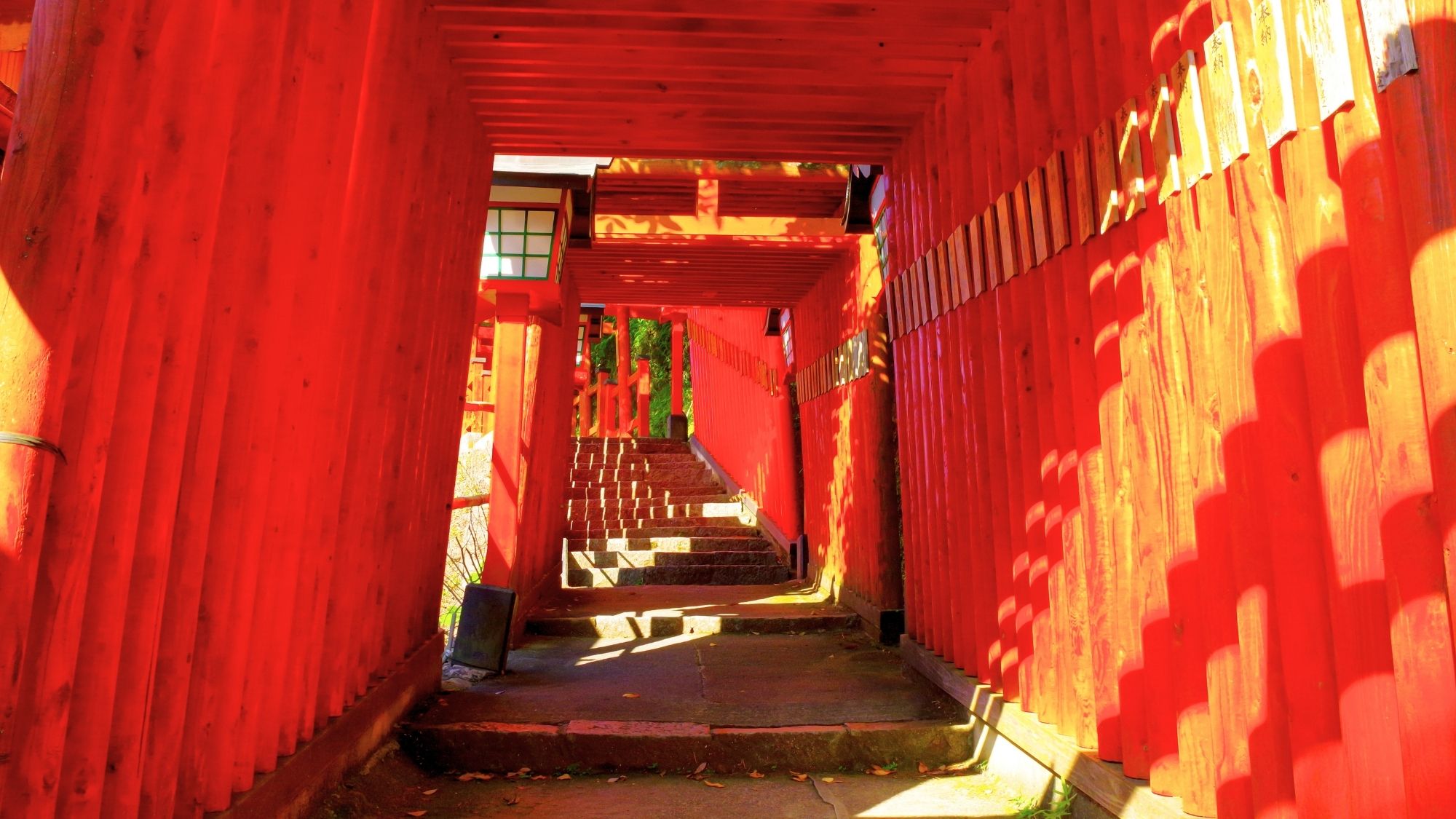 千本鳥居を10分ほど登ると本殿にたどり着きます（当館から徒歩7分：太皷谷稲成神社）