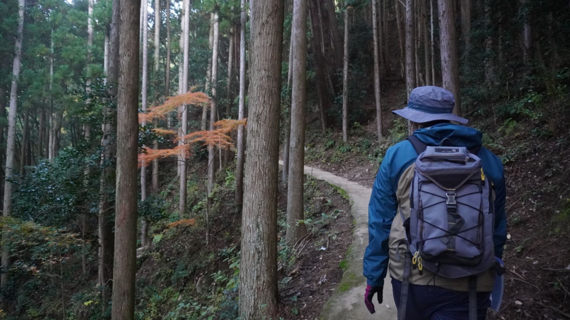 ＜季節限定＞【津和野城址トレッキングプラン】津和野の自然を全身でご体感いただけます（一例）