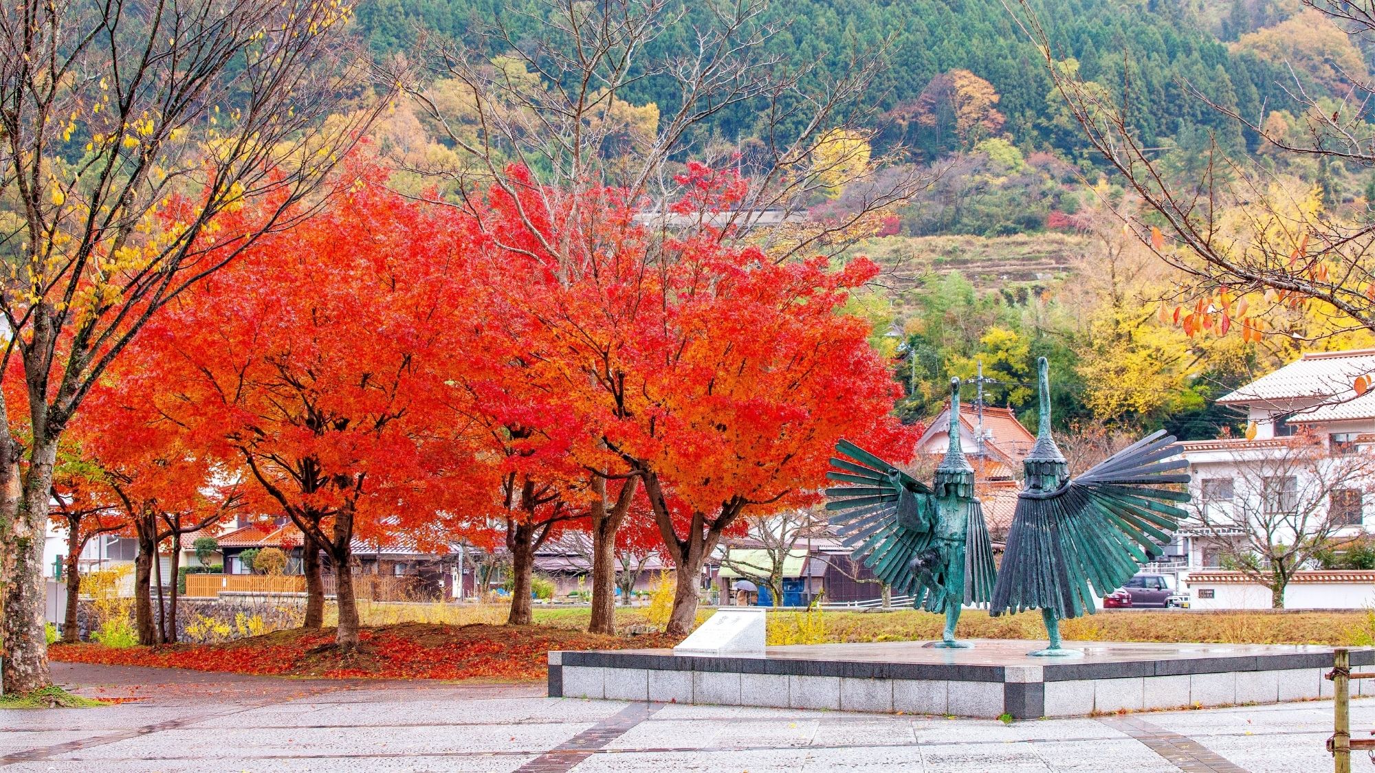 鮮やかに色づく紅葉が彩る、秋の風景（一例）