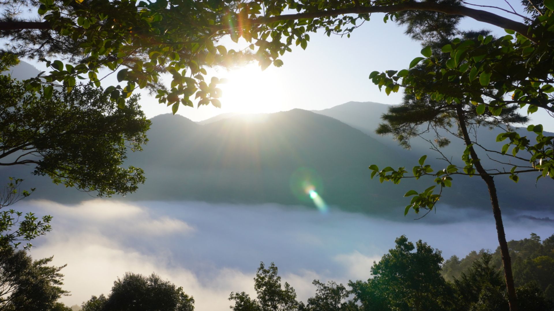 ＜季節限定＞【津和野城址トレッキングプラン】運がよければ雲海が見れるかも（一例）