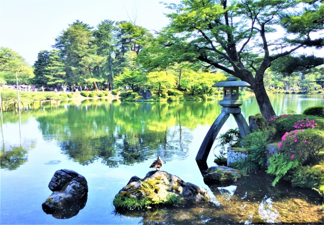 金沢市内の観光スポット　兼六園　当館へのご宿泊前に