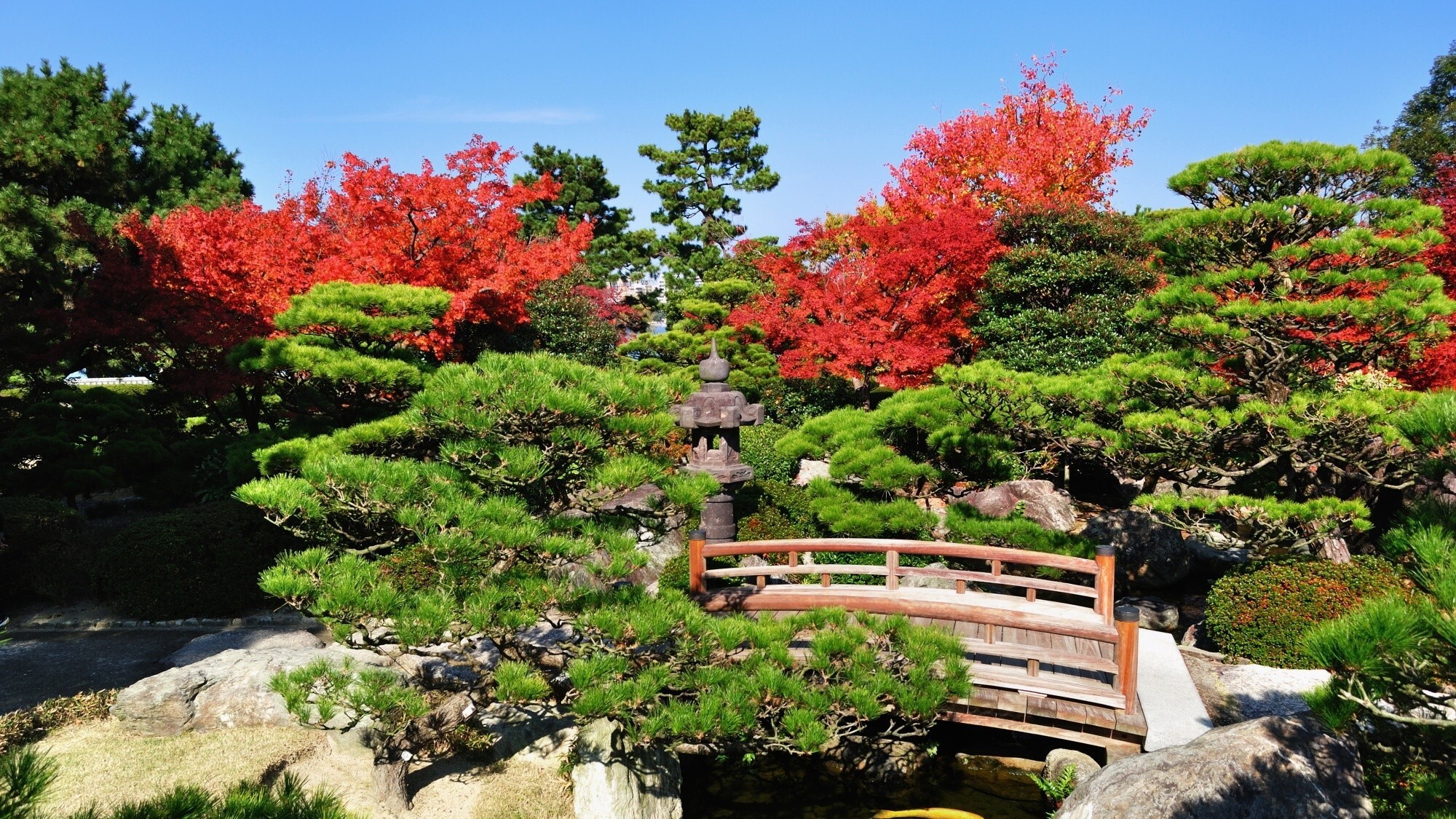 【周辺観光/大濠公園日本庭園（秋）】昭和59年に開園した築山林泉廻遊式の庭園／写真提供：福岡市