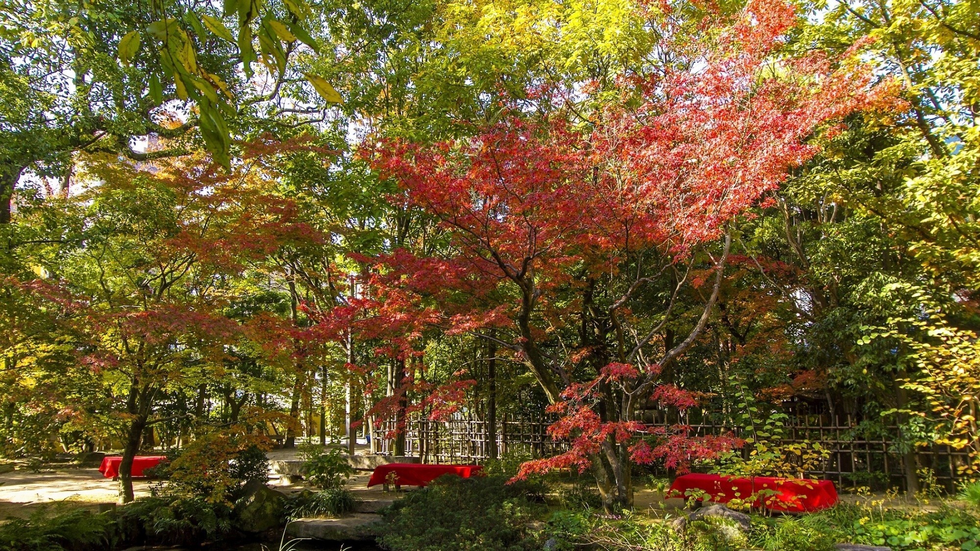 【周辺観光/楽水園（秋）】博多駅近くのオフィス街の一画にある日本庭園／写真提供：福岡市