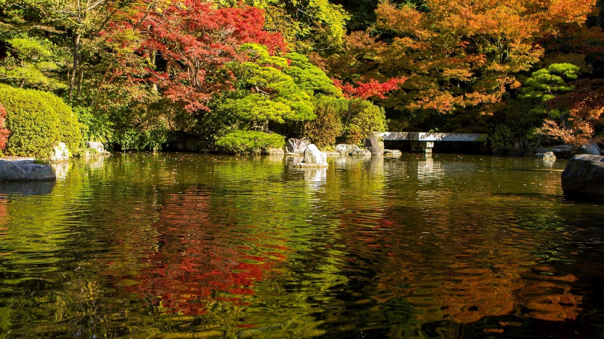 【周辺観光/友泉亭公園（秋）】約3,000坪の池泉廻遊式日本庭園は昭和56年に開園／写真提供：福岡市