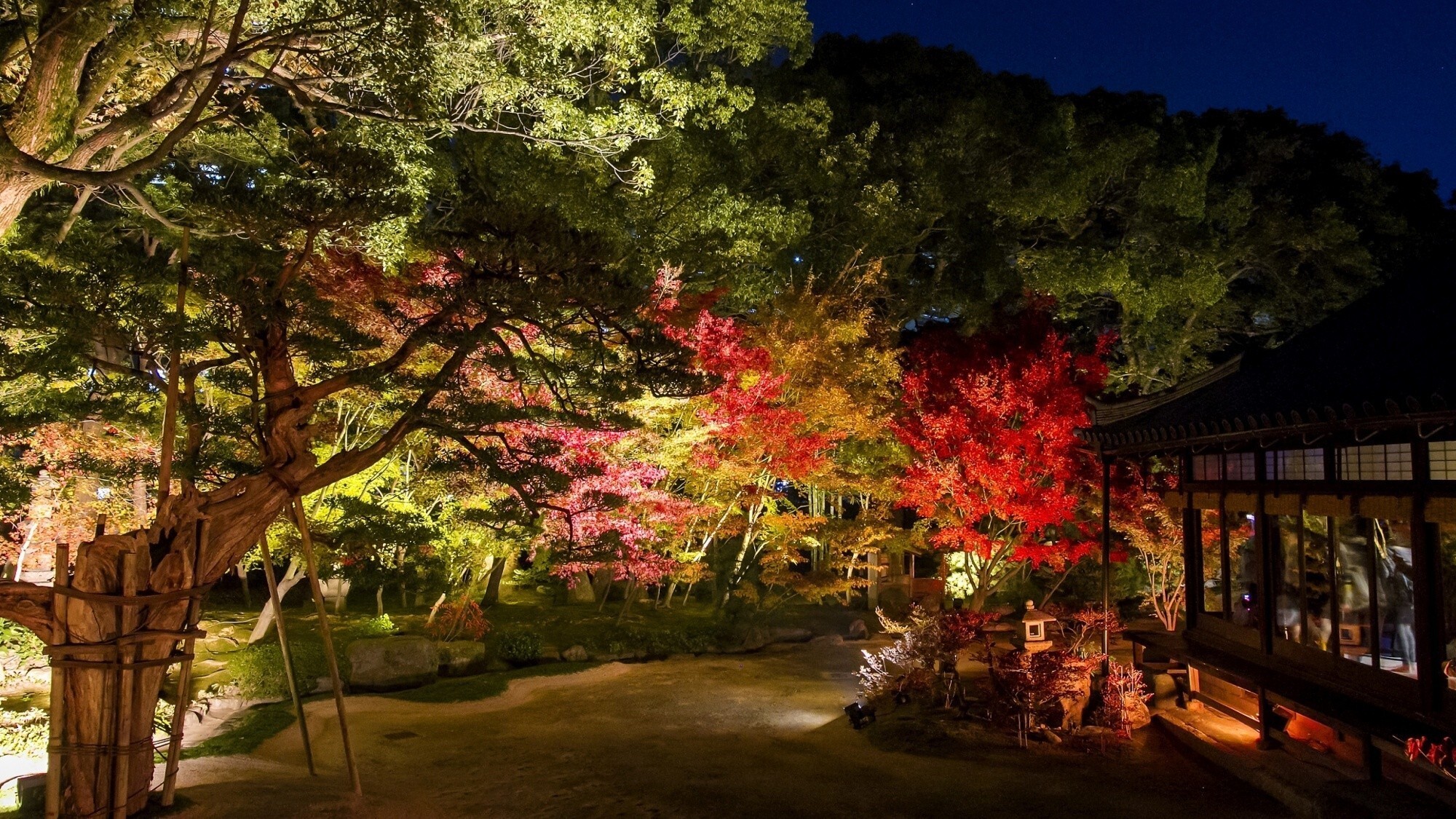 【周辺観光/承天寺（秋）】うどん、蕎麦、饅頭、博多祇園山笠の発祥の地／写真提供：福岡市