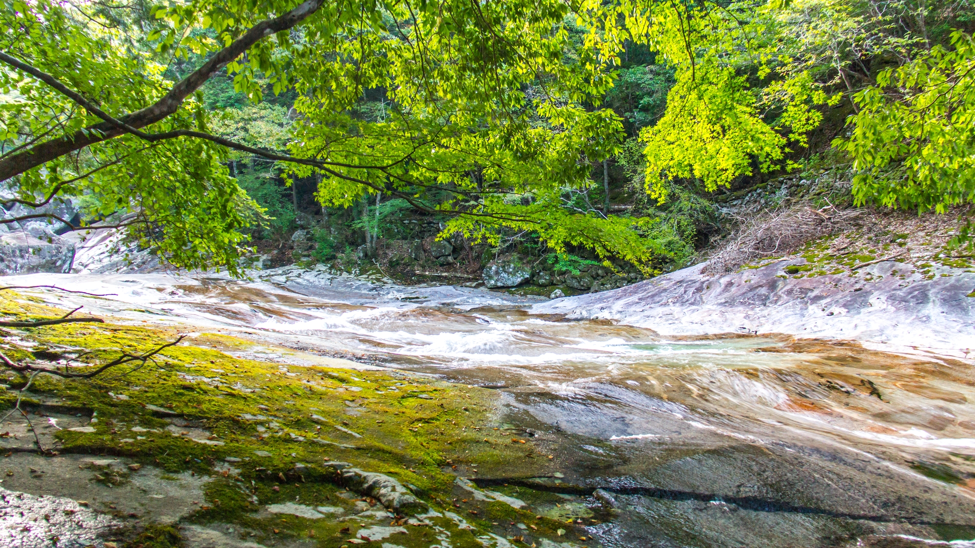 【当館から車で約45分】滑床渓谷