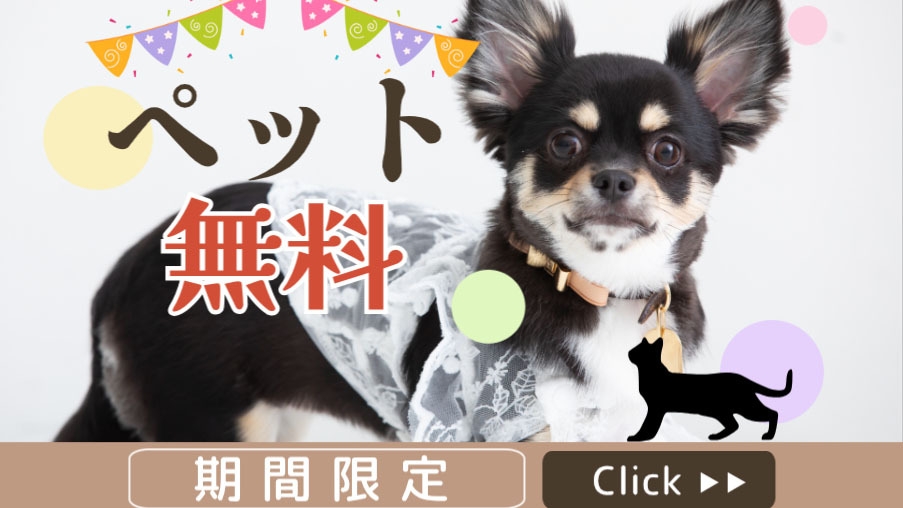【 期間限定 】ワンちゃん2匹まで＜無料＞特典付　フレンチ★★ [ST2食付]