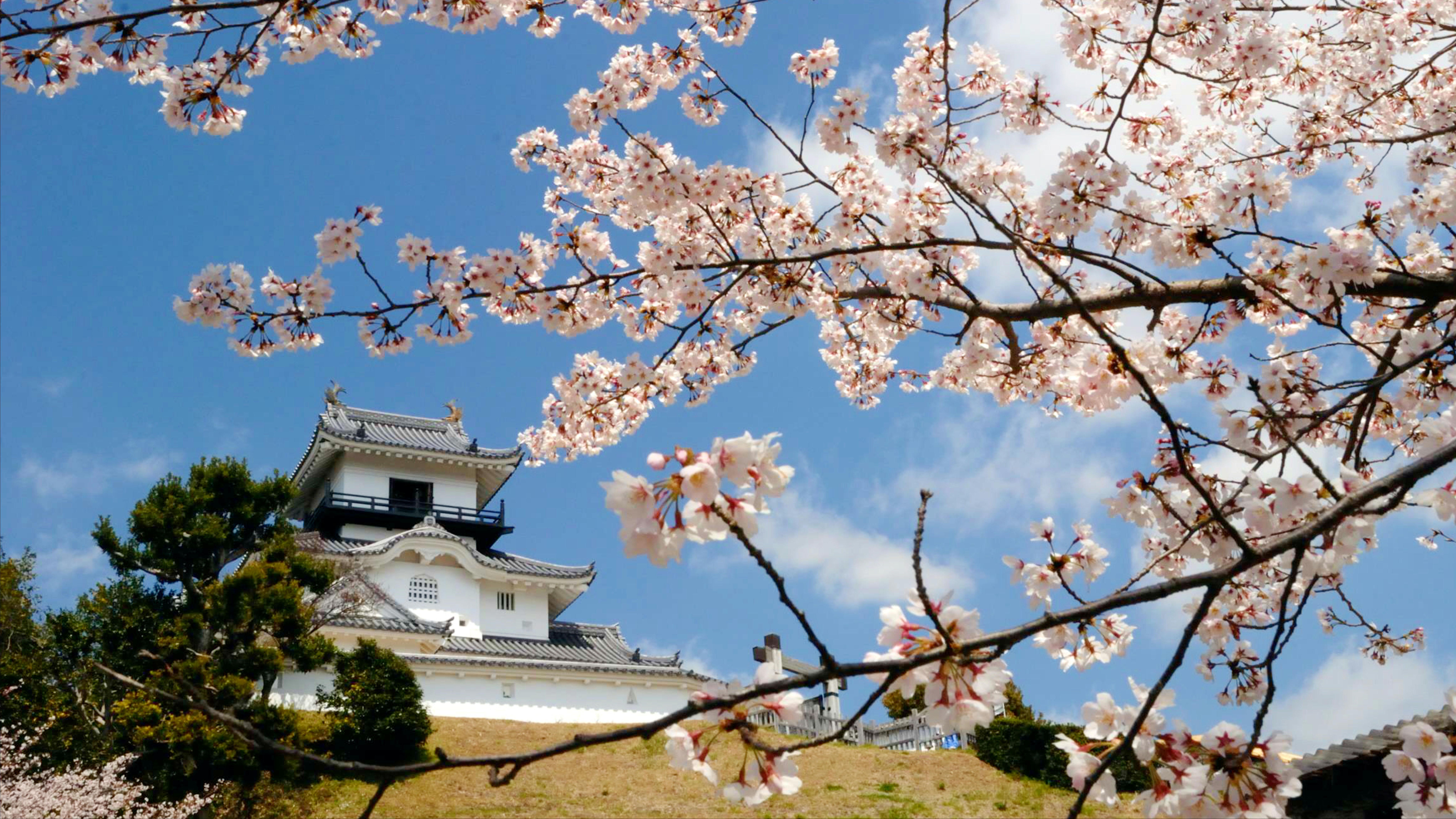 掛川城まで約30分