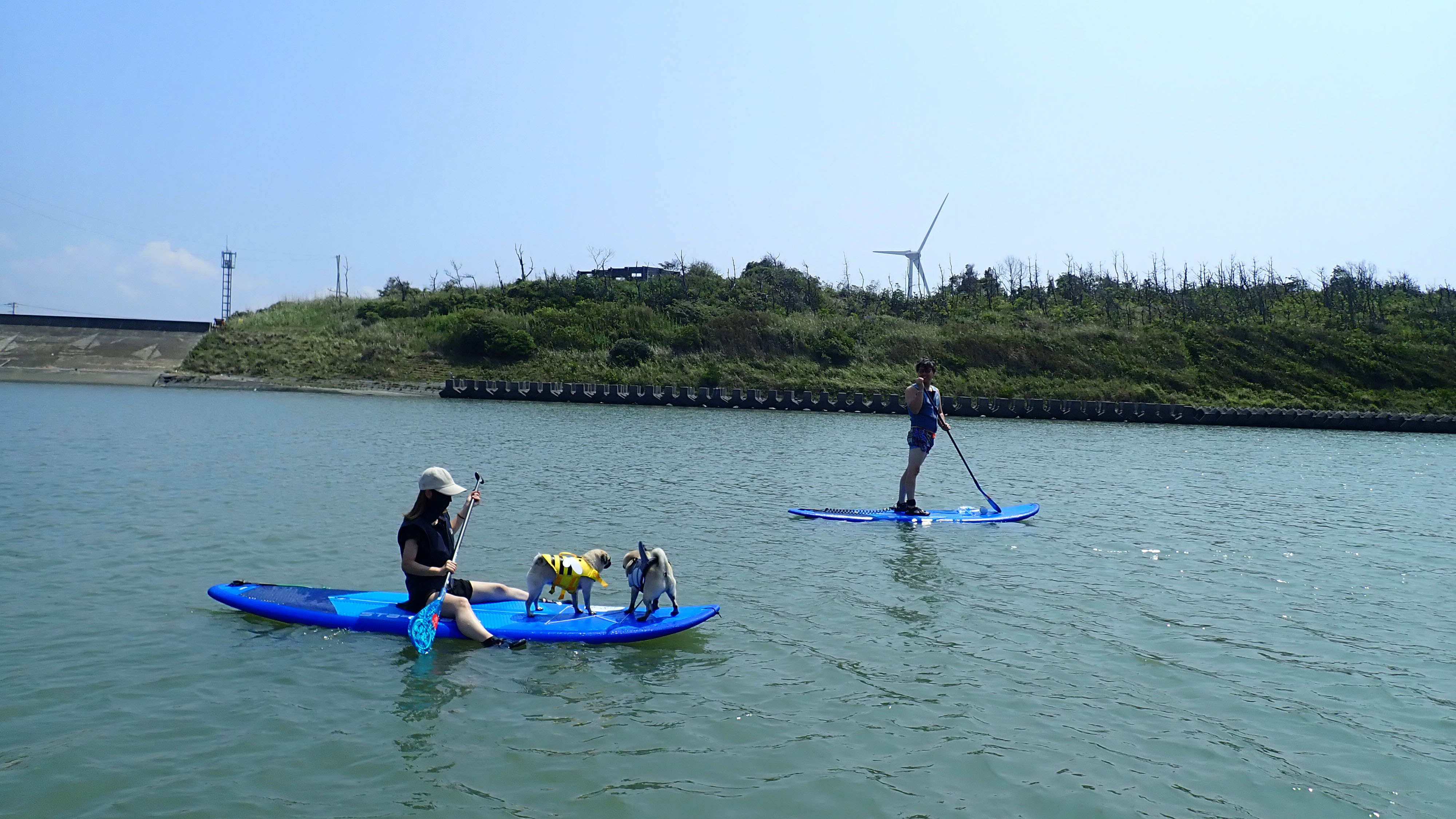 風を感じて、海面を滑るSUPアクティビティ