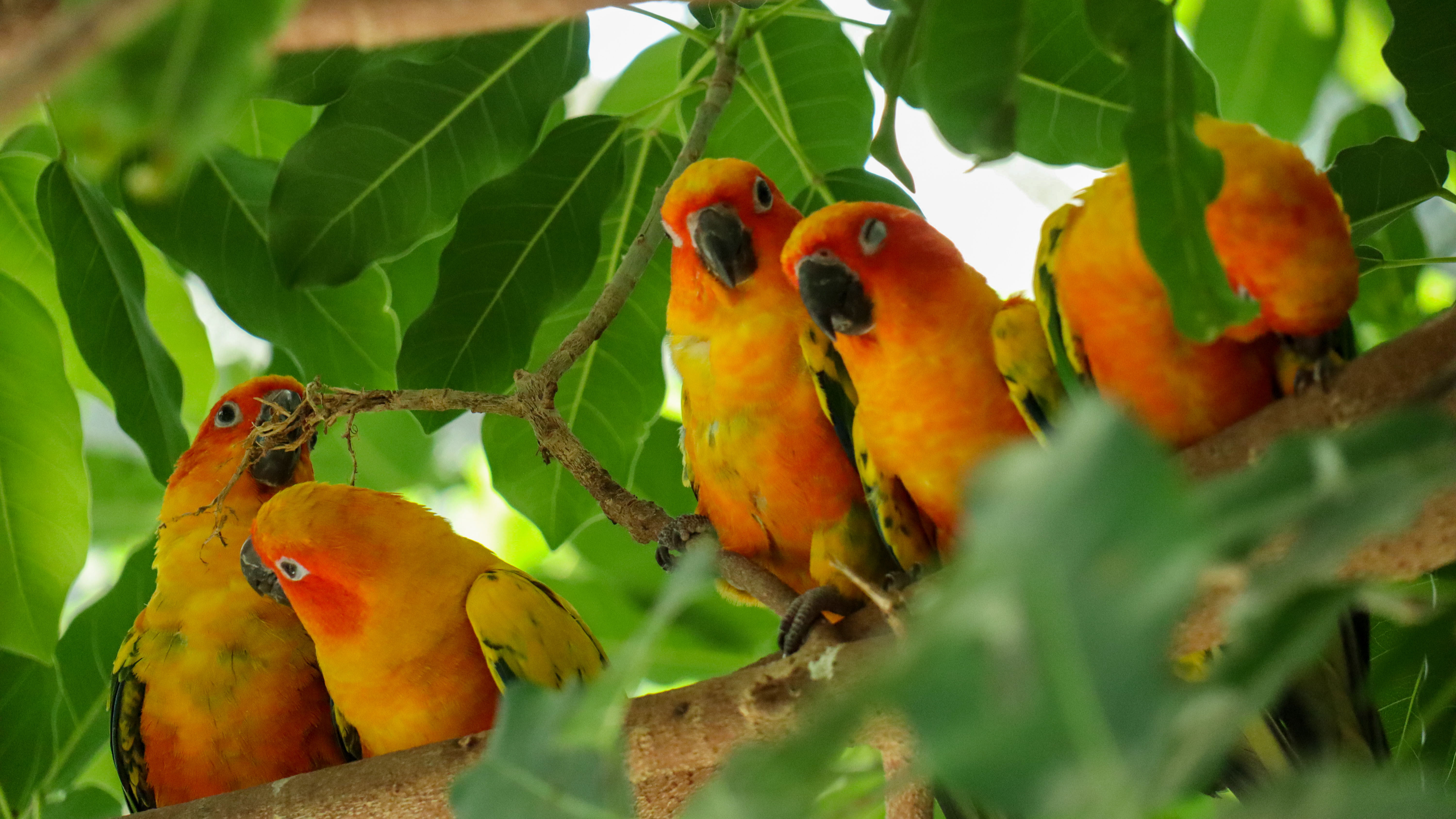 掛川花鳥園まで約35分