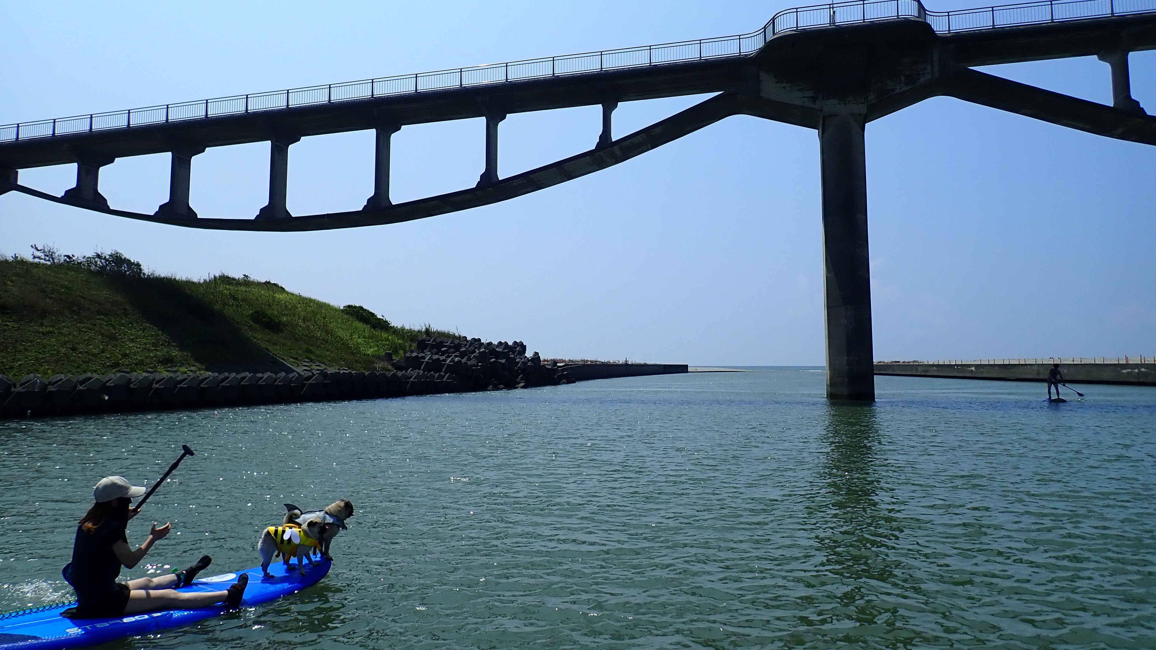 ボードの上で自由自在♪掛川の海風を切るSUPチャレンジ