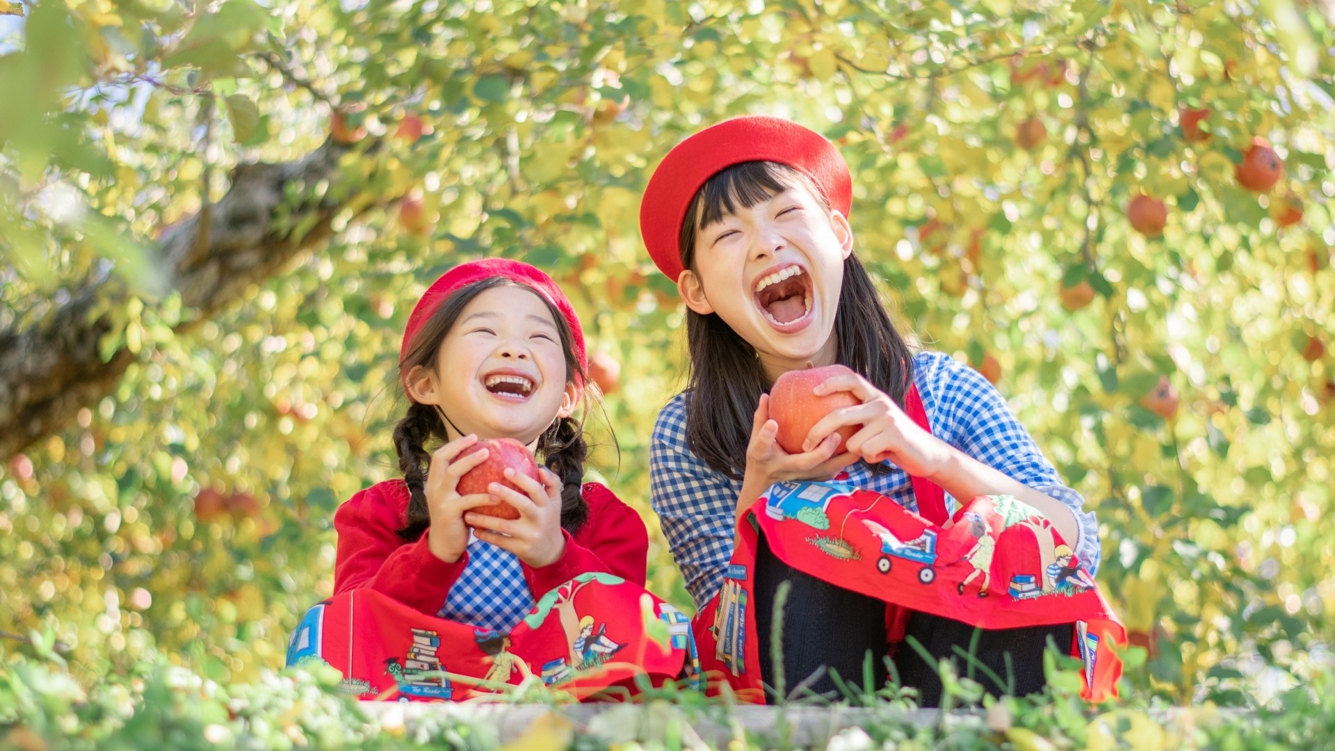 お友達同士やカップル、ご家族でりんご狩りをお楽しみください♪