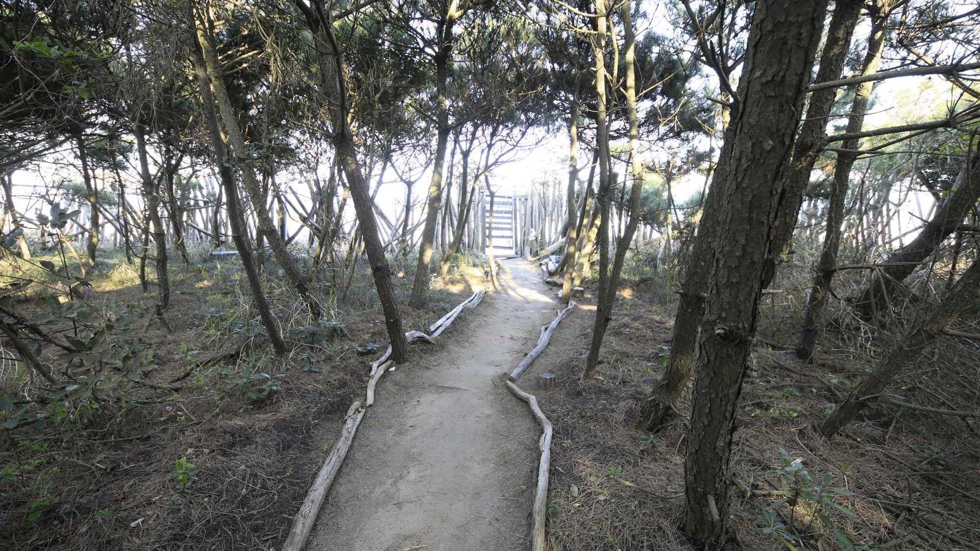 ◆海岸への小道