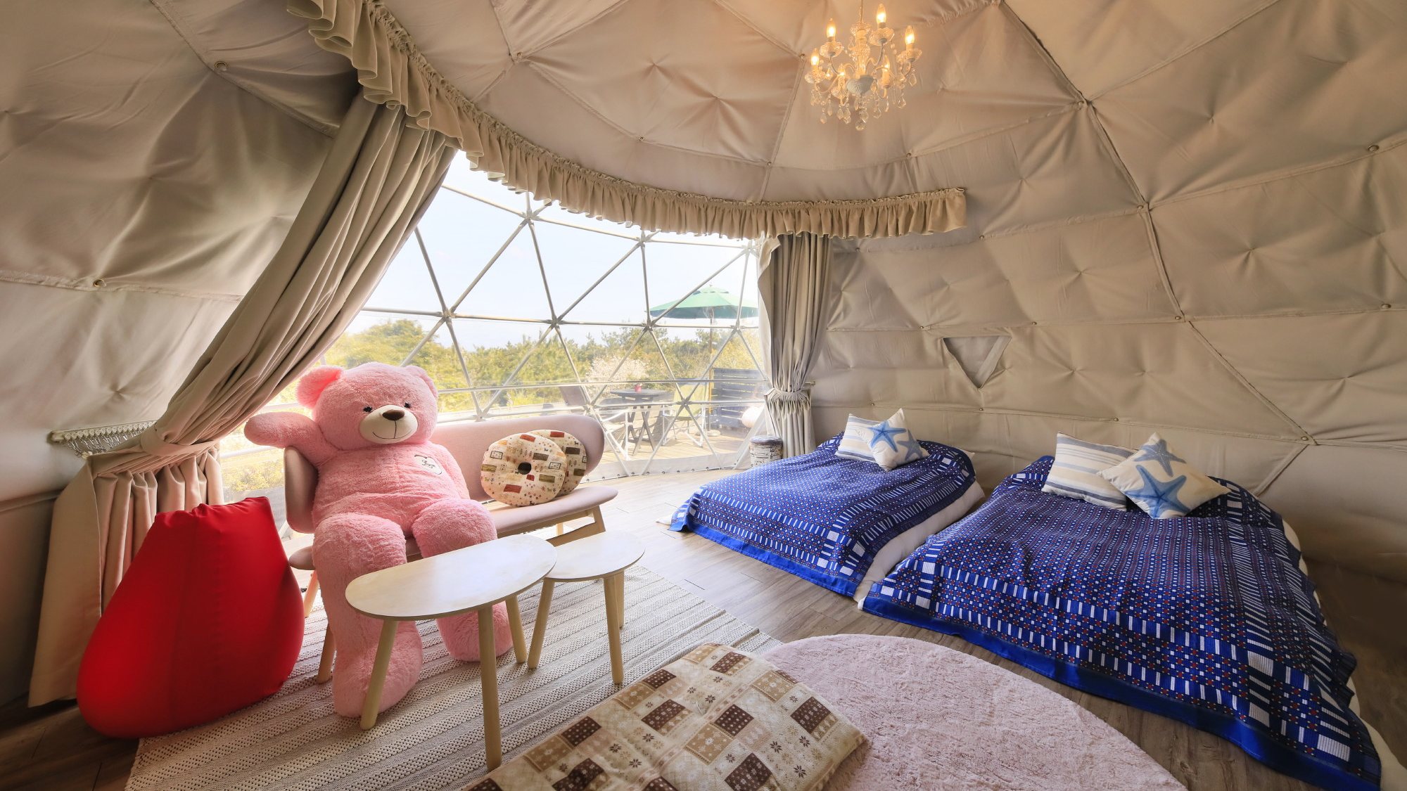 ◆部屋には先客が、、、？