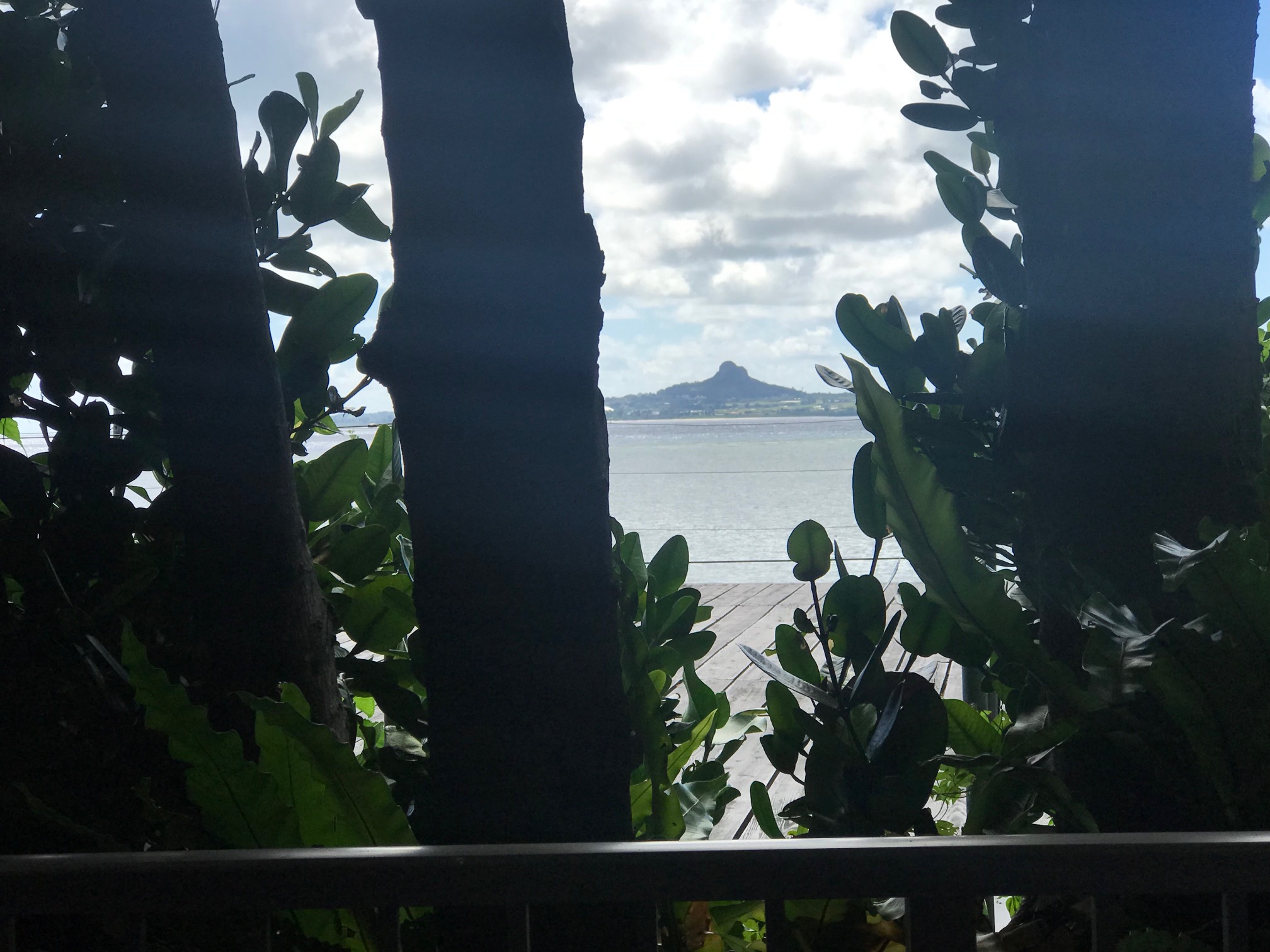 訳ありカナ３の眺望