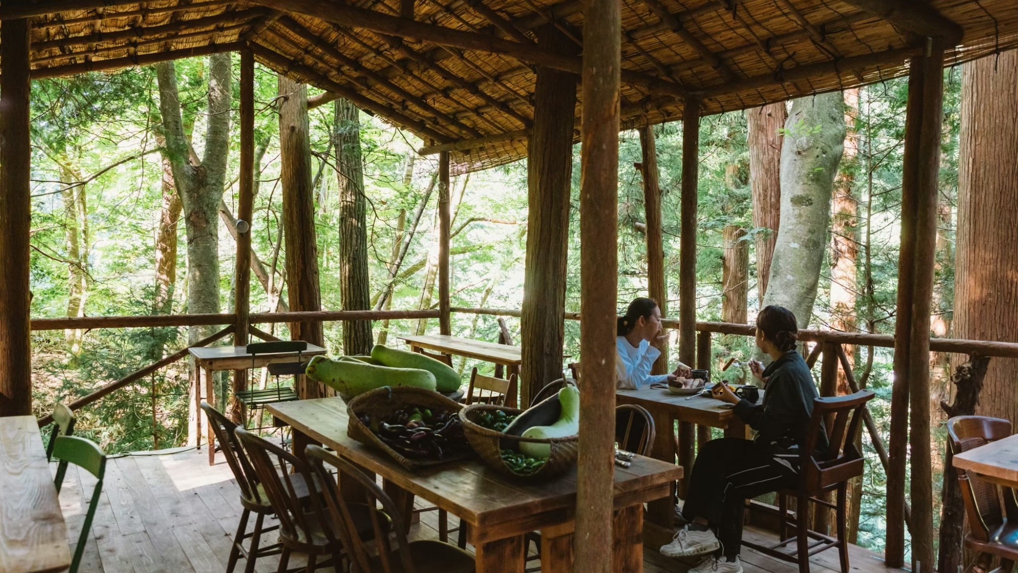 ・【ジャングルバー】自然の中で心ほどけるひとときを