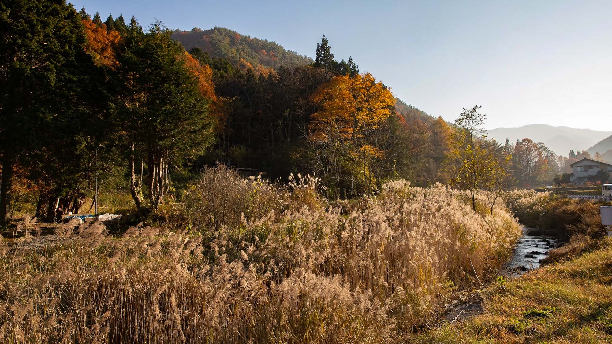 ・【景観】大自然を散策。秋の訪れを五感で体感しませんか