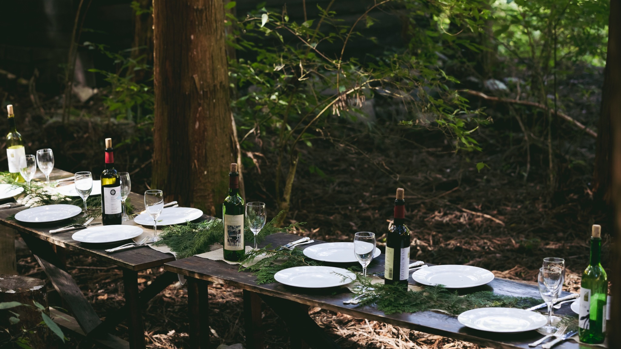 ・【イベント】緑とワインの席、ここから始まるごちそう時間
