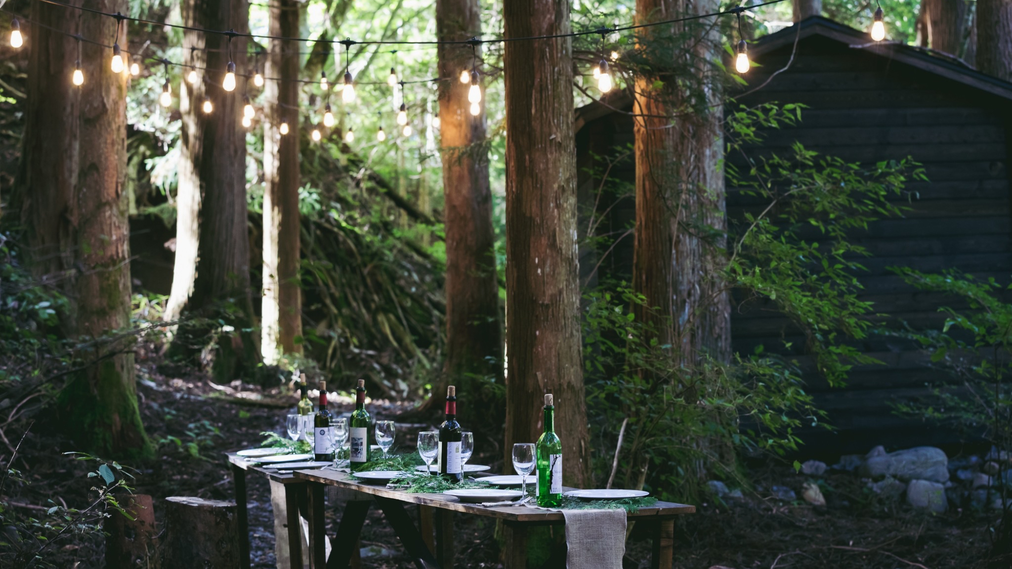 ・【イベント】緑とワインの席、ここから始まるごちそう時間