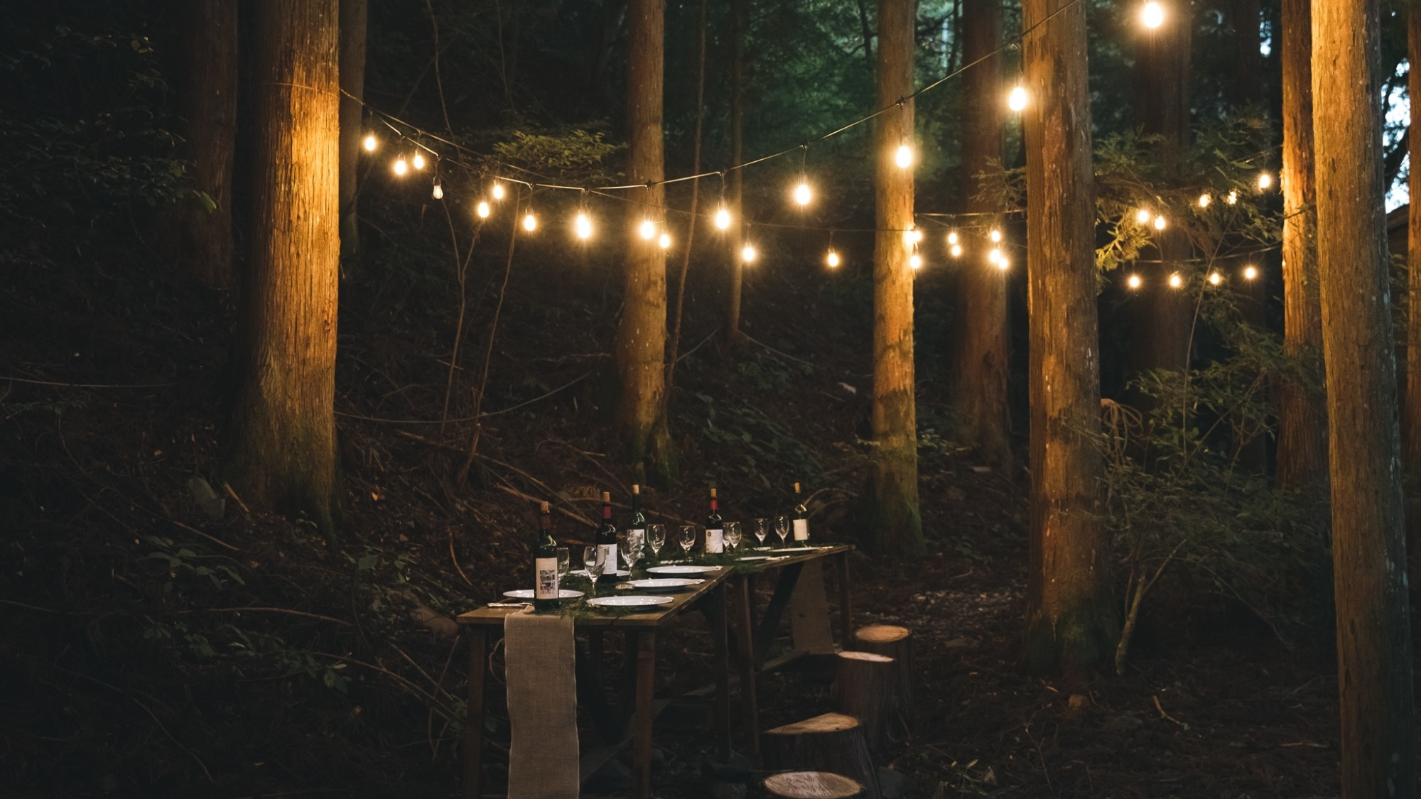 ・【イベント】森の中で愉しむディナー