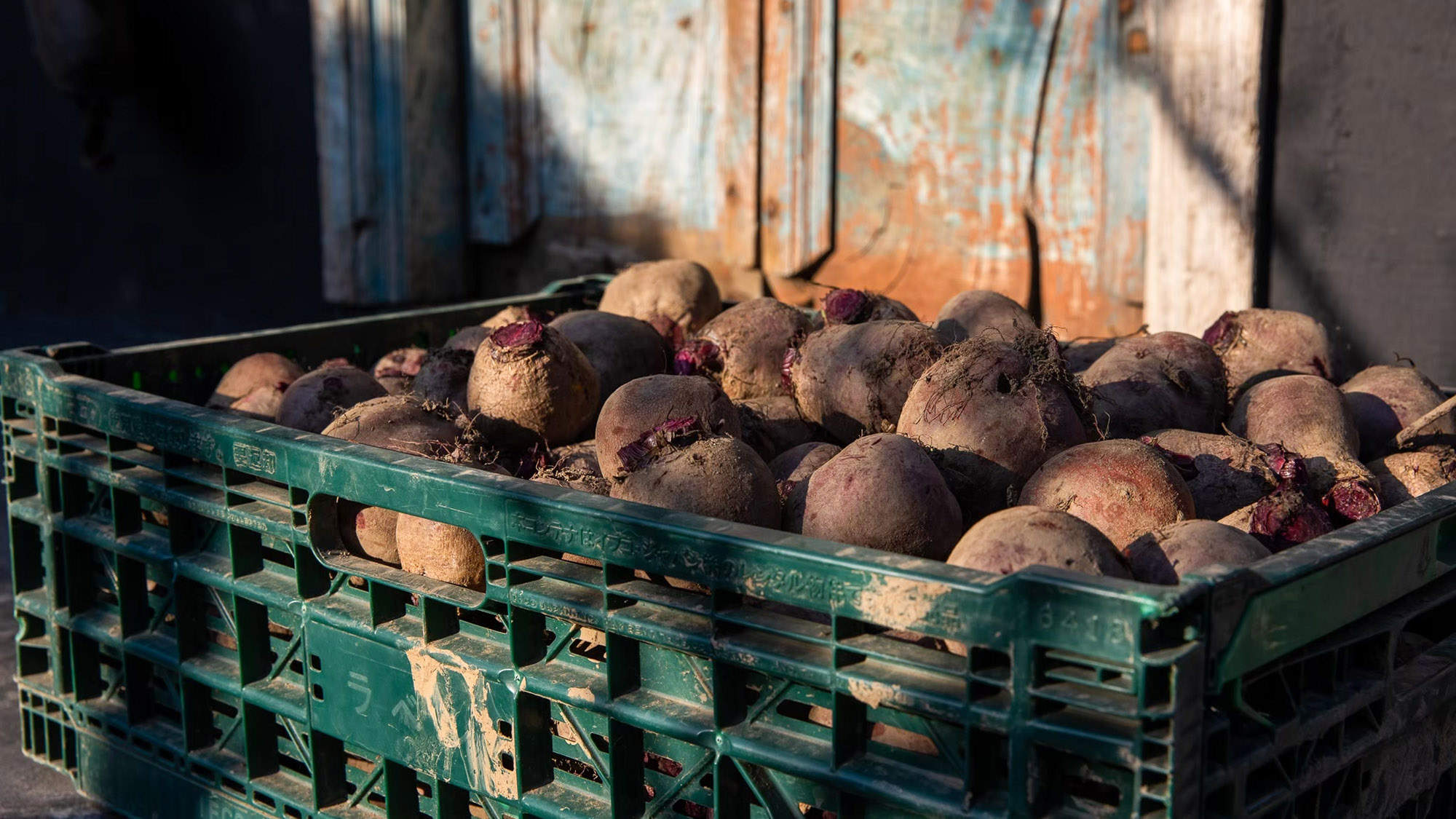 ・【景観】秋の味覚を堪能。旬の野菜を使用したお料理を楽しめます