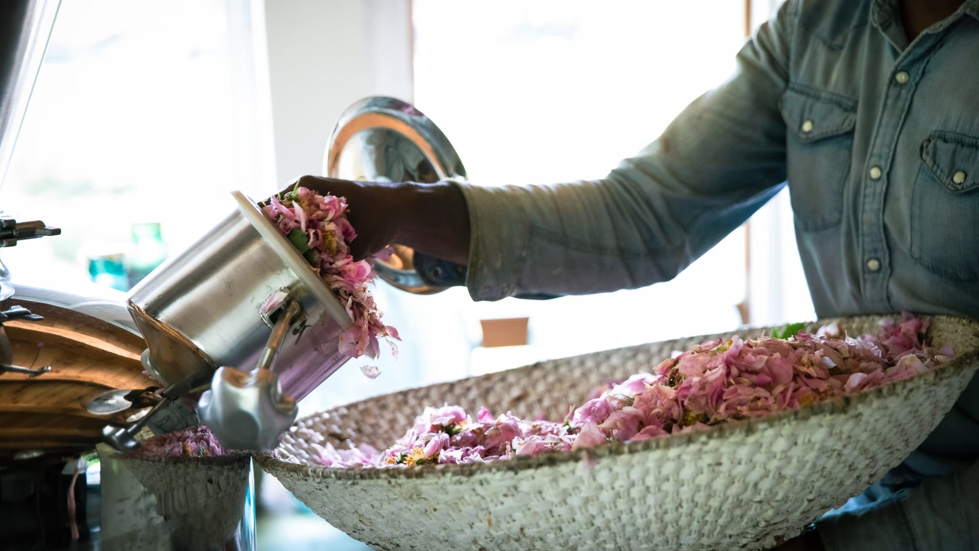 ・【バラ摘み】籠いっぱいのバラ