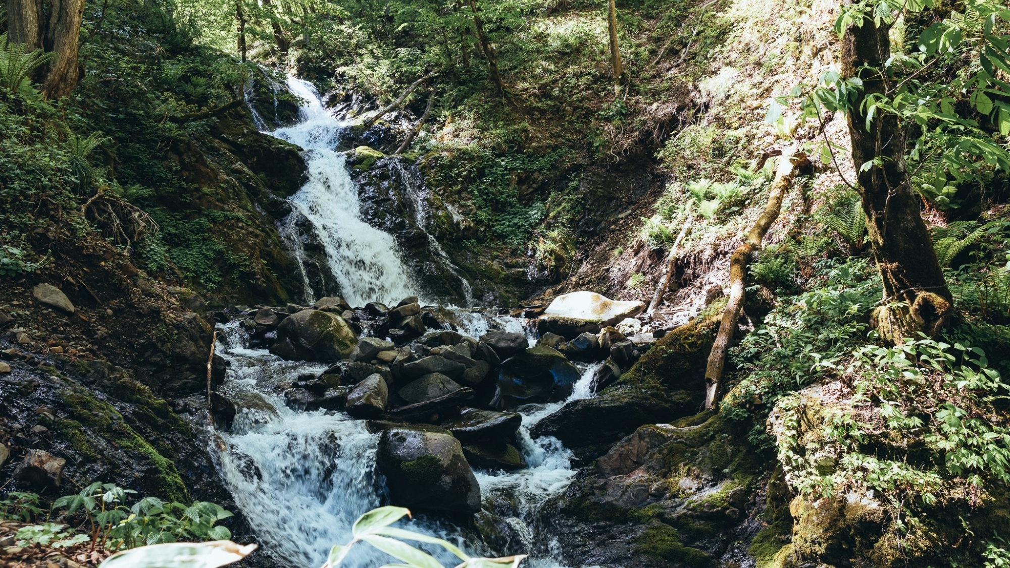 ・【風景】清らかな水音が響く渓流の滝