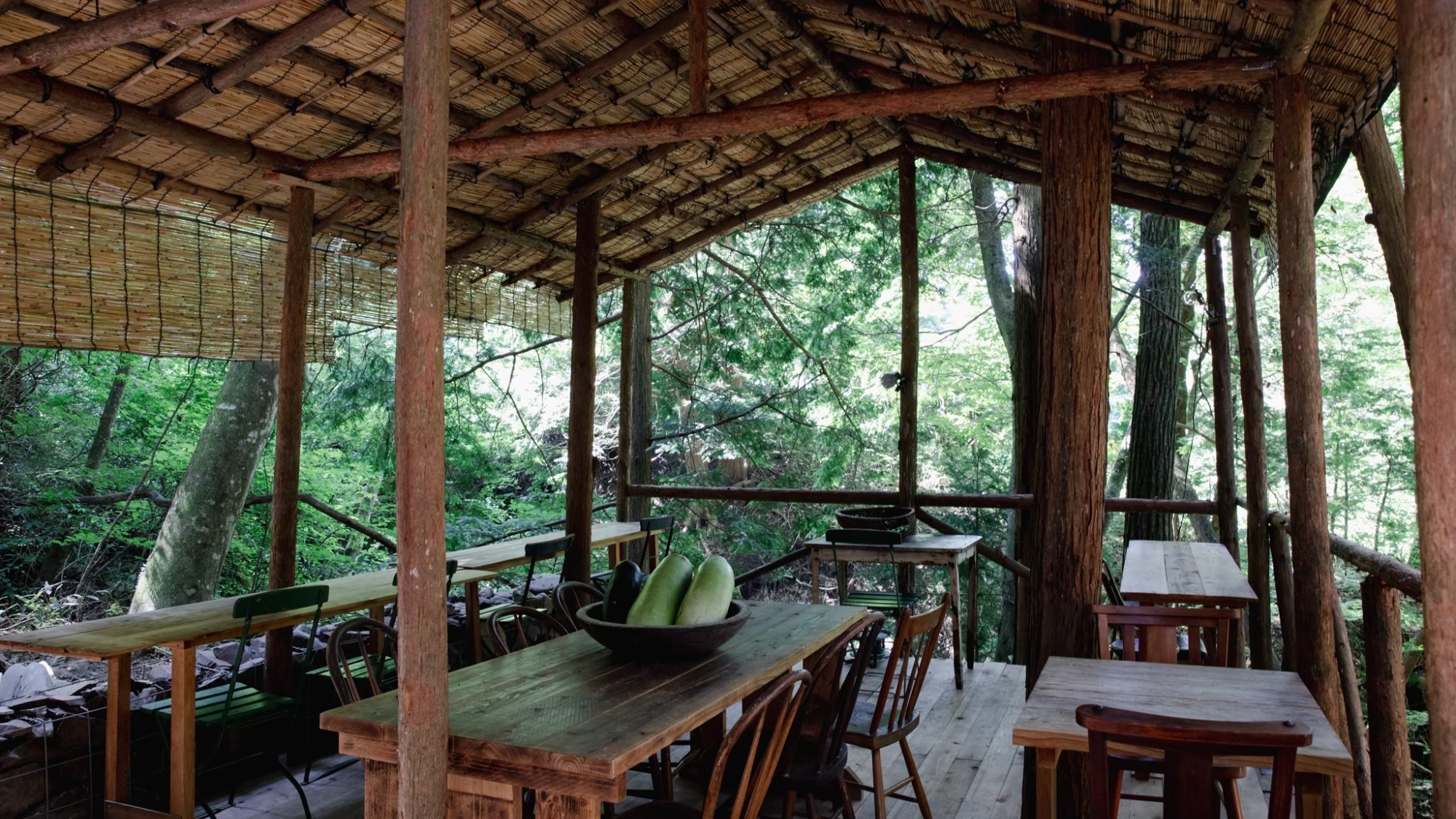 ・【ジャングルバー】森のカウンターで愉しむフルーティーな香り