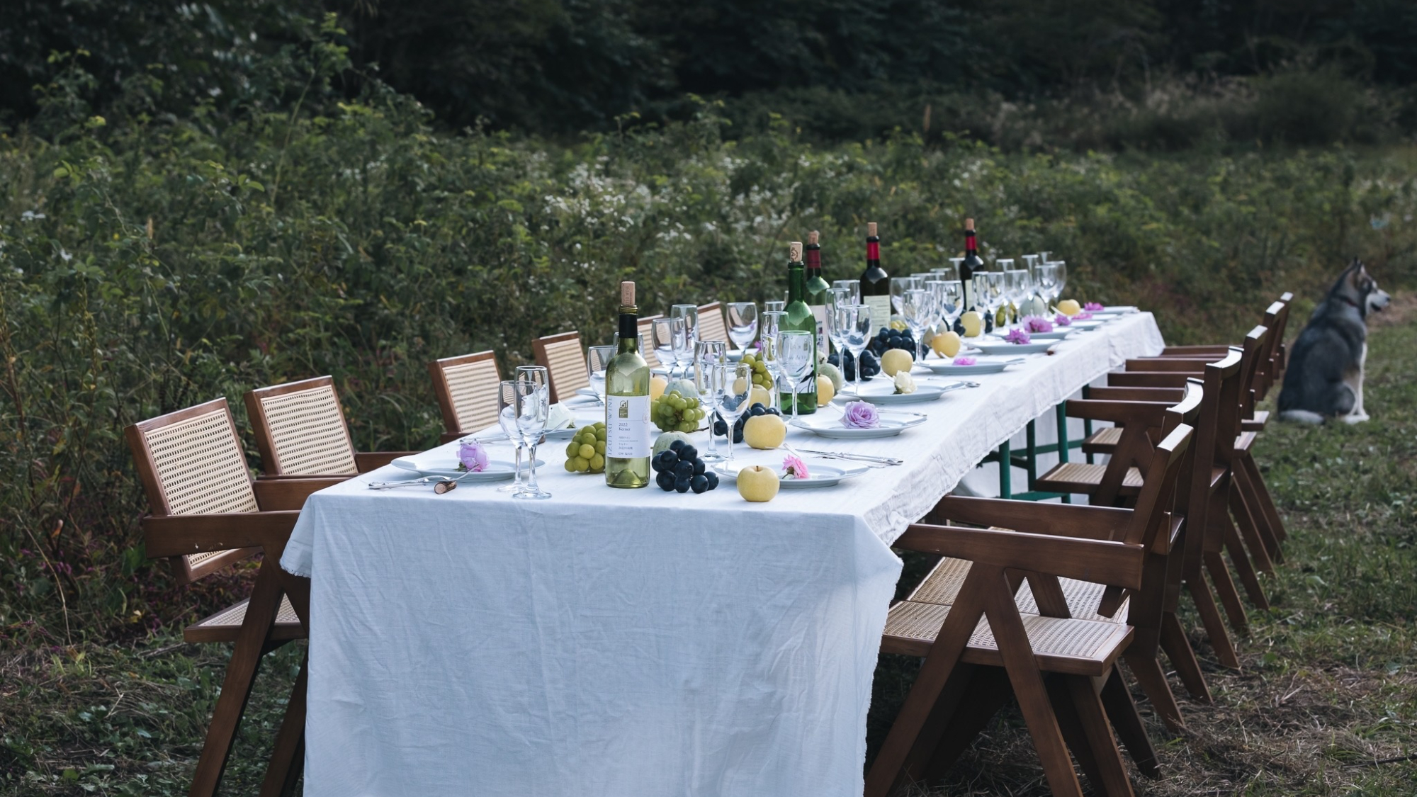 ・【イベント】ここでしか味わえない自然豊かな思い出を