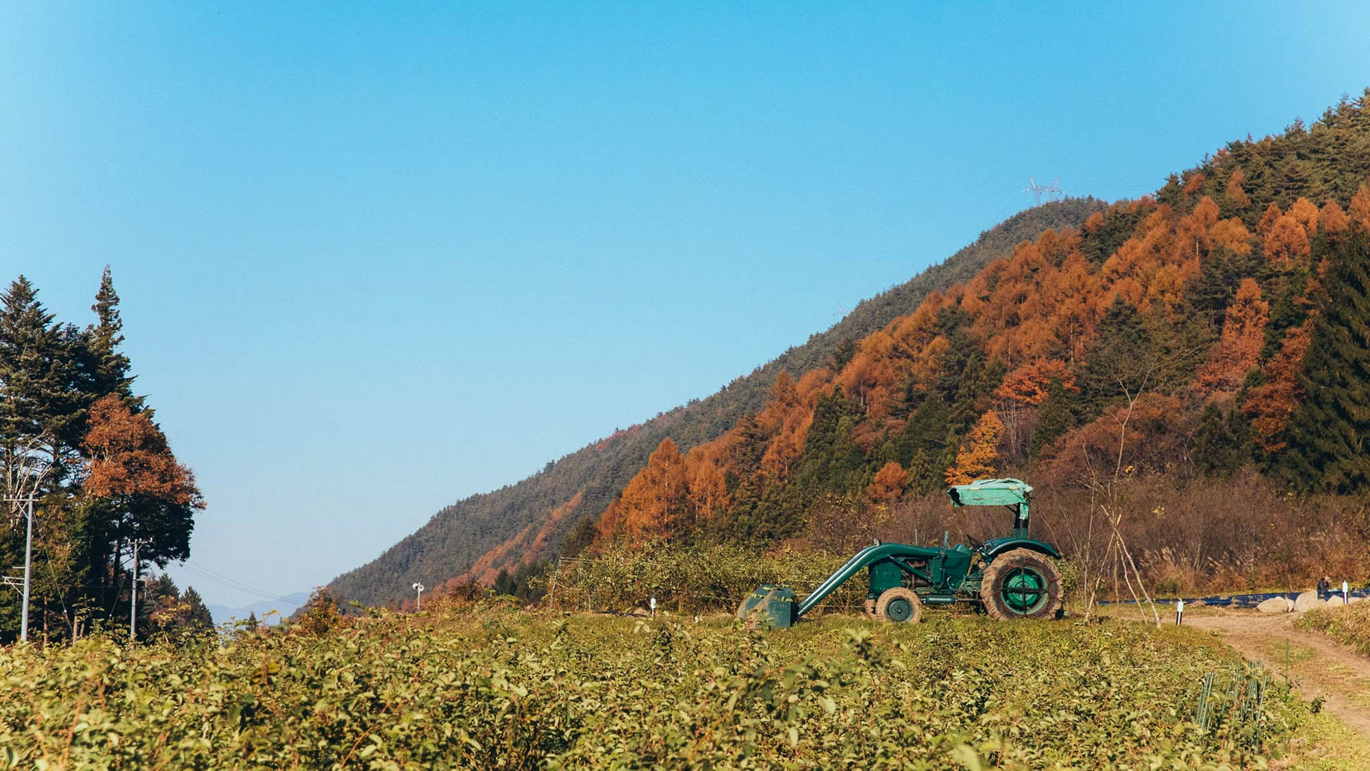 ・【景観】秋晴れの穏やかな景色が広がります