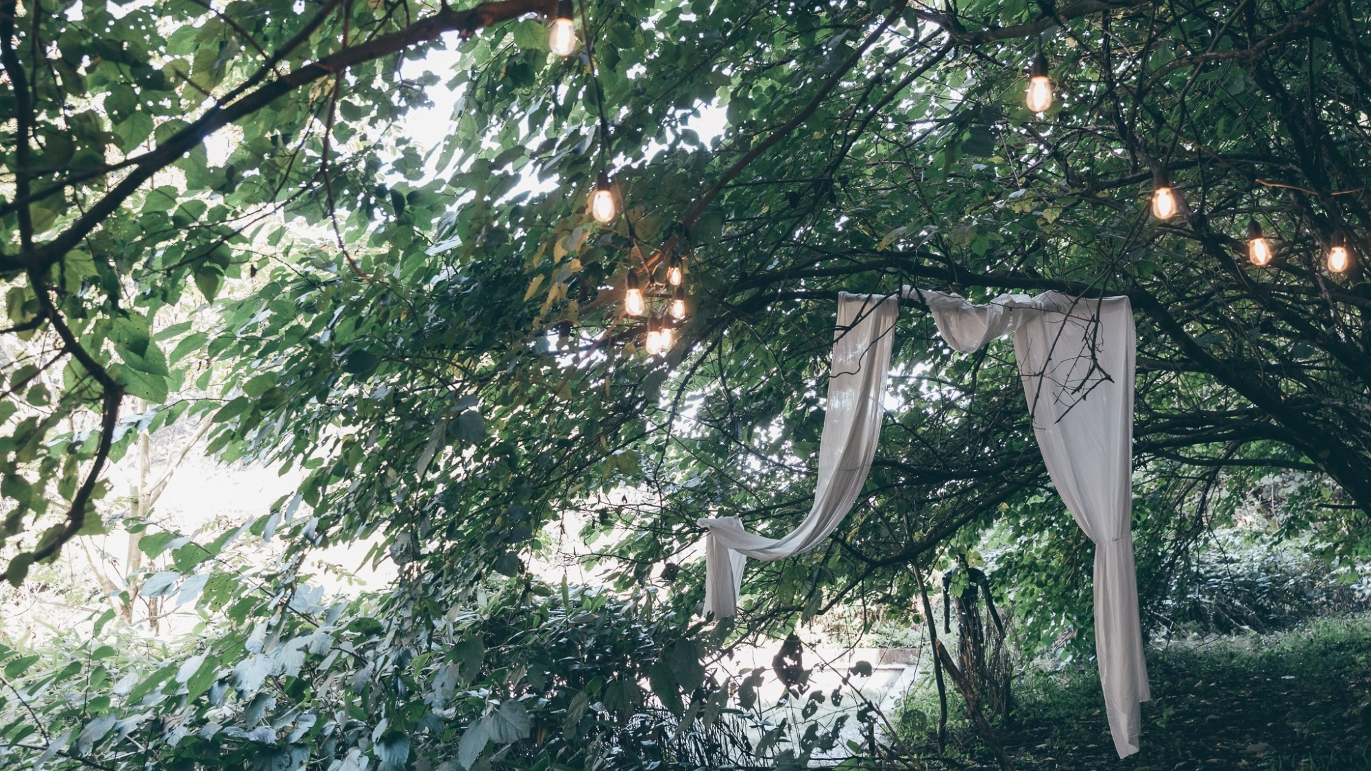 ・【イベント】記念日に合わせて自然の中で素敵な思い出作りを