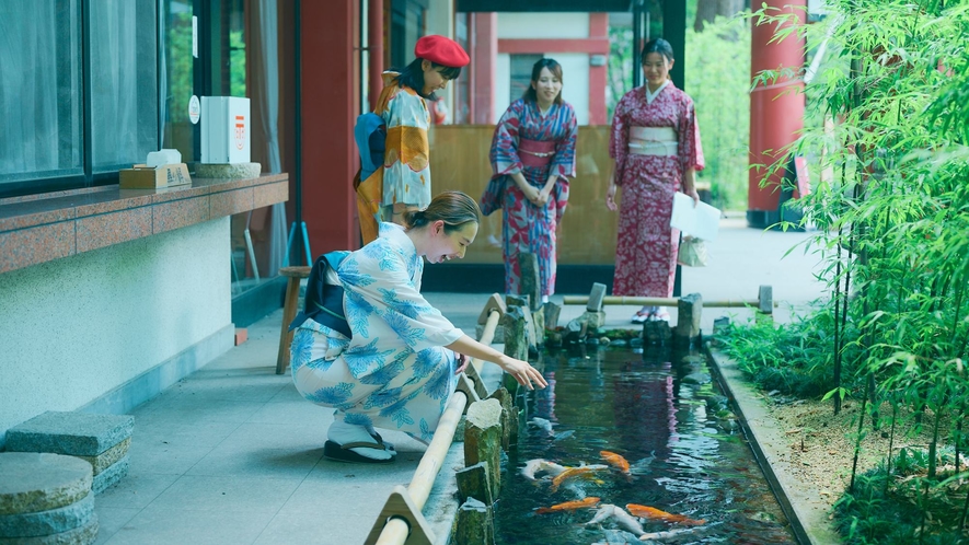 ・【秩父神社】神社境内の池には鯉がいて、餌を購入することもできます