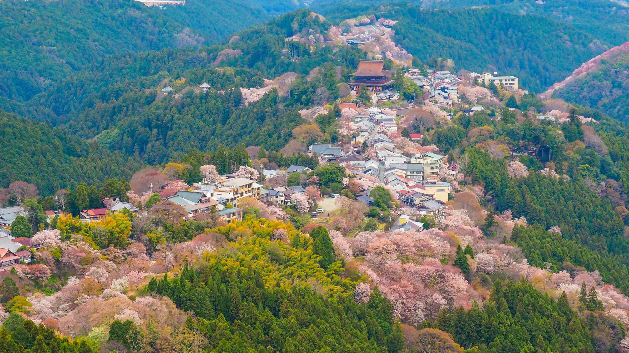 【夕食付】奈良の有名観光地へアクセス良好◆マルト醤油を観光拠点に＜朝食なし＞