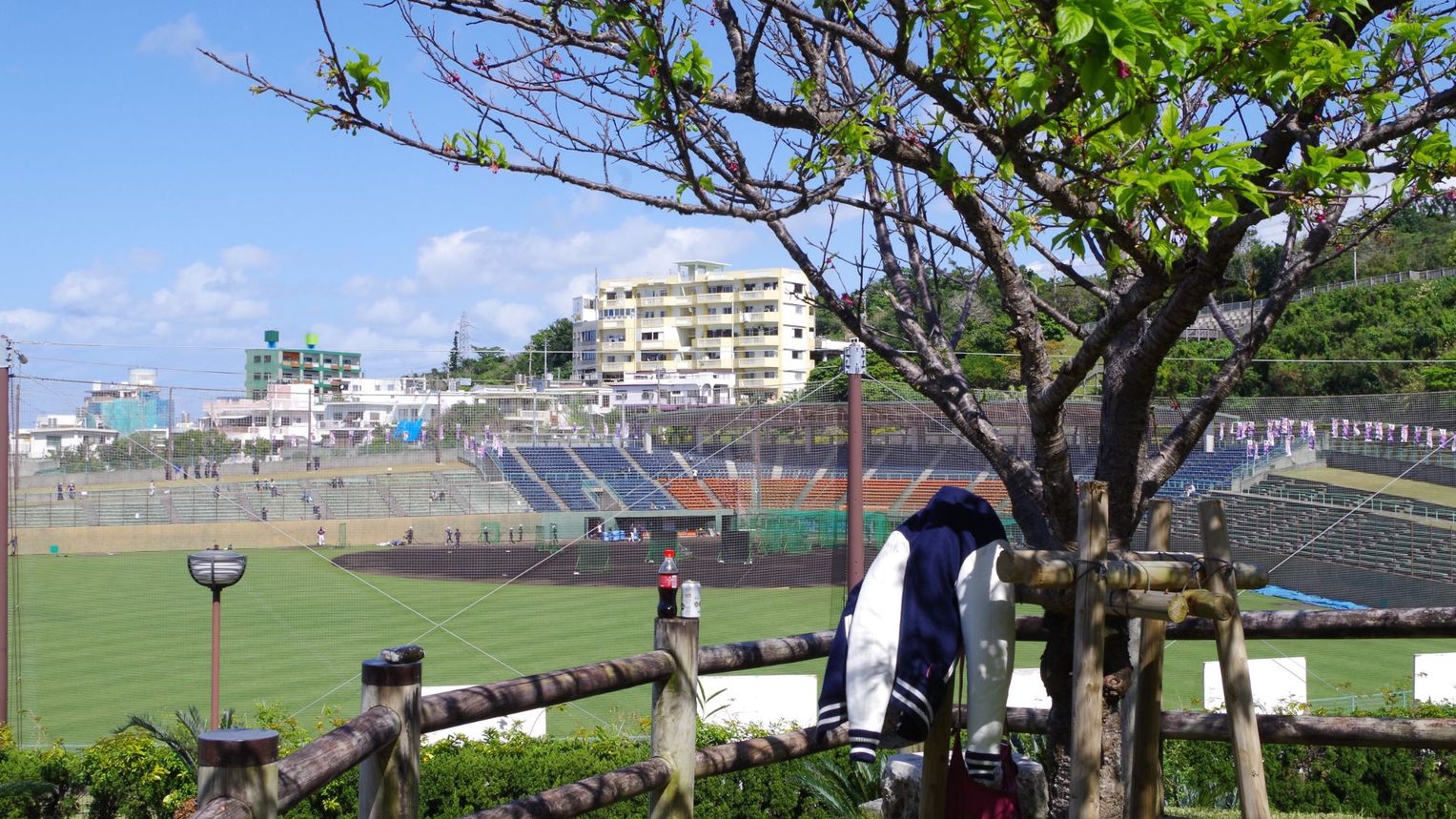 【2月の沖縄で推し活】空港から25分！プロスポーツキャンプ視察に便利な立地☆熱血応援プラン（朝食付）