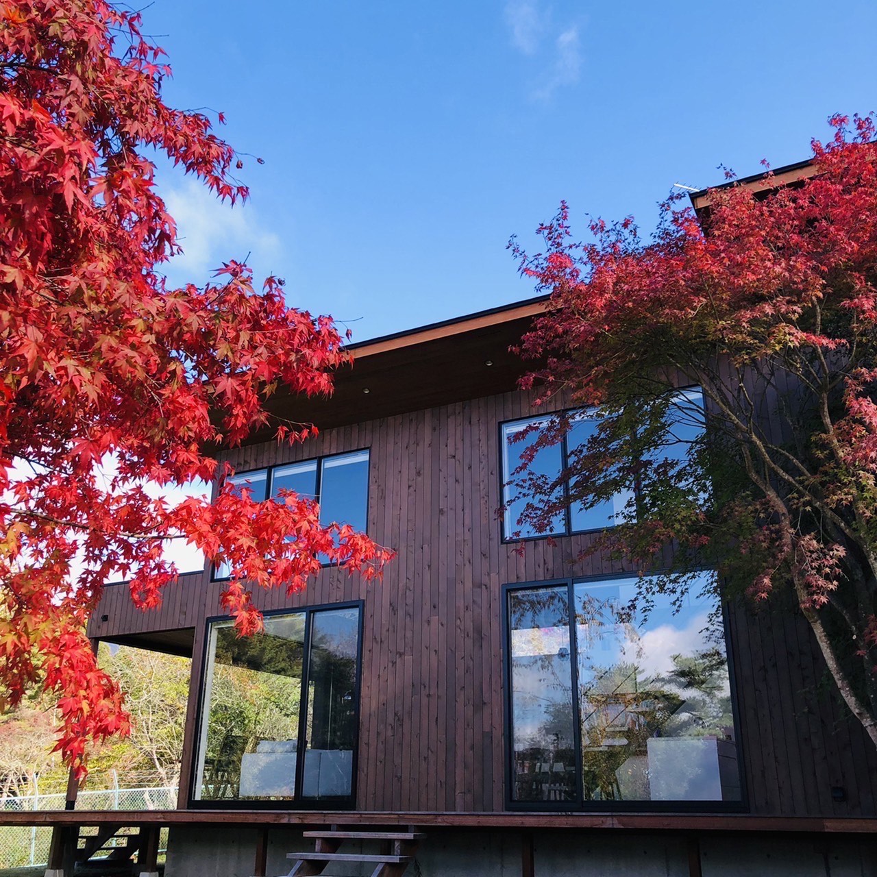 Garden with Autumn colors