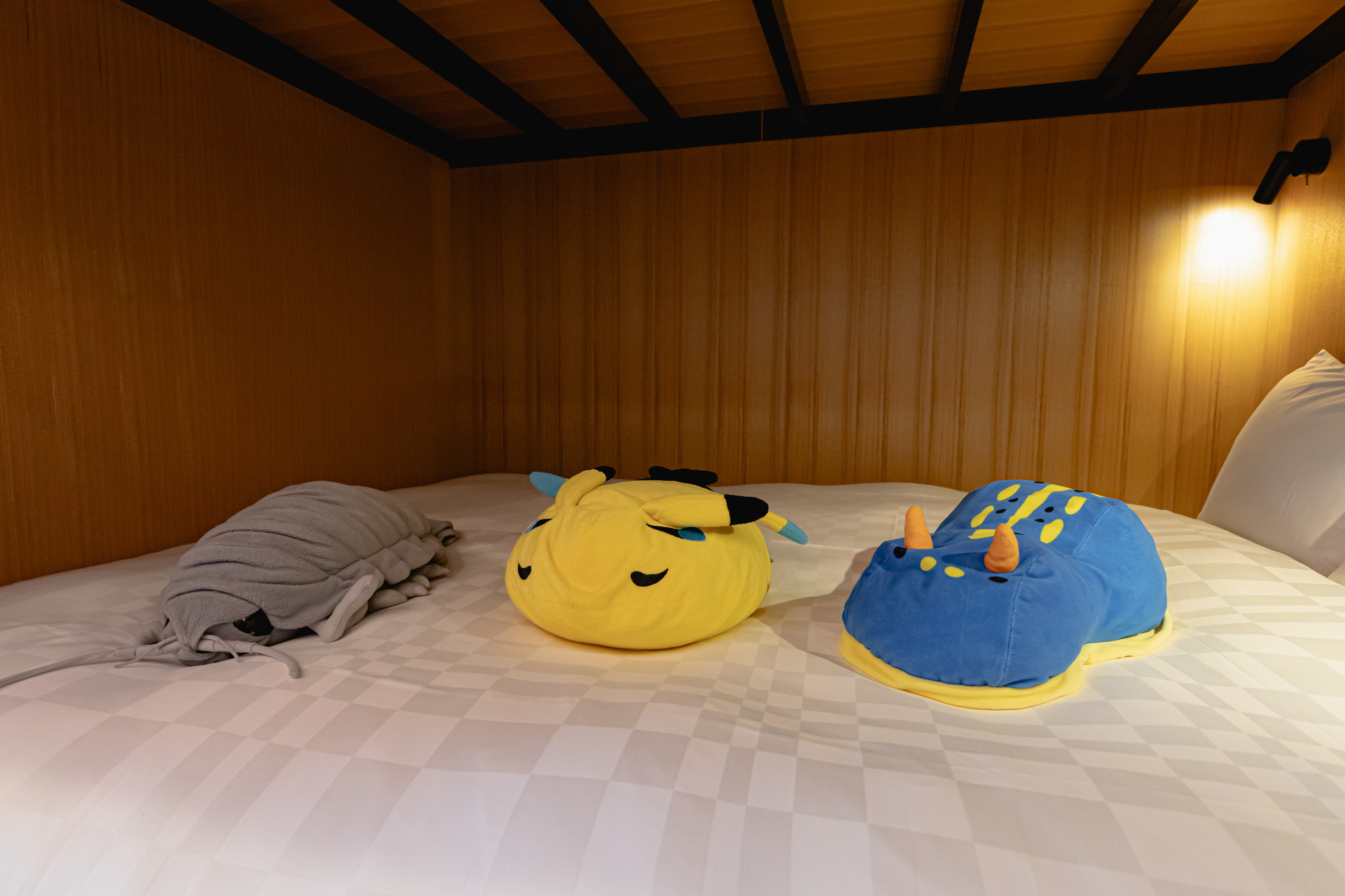 水族館カルチャールーム6名