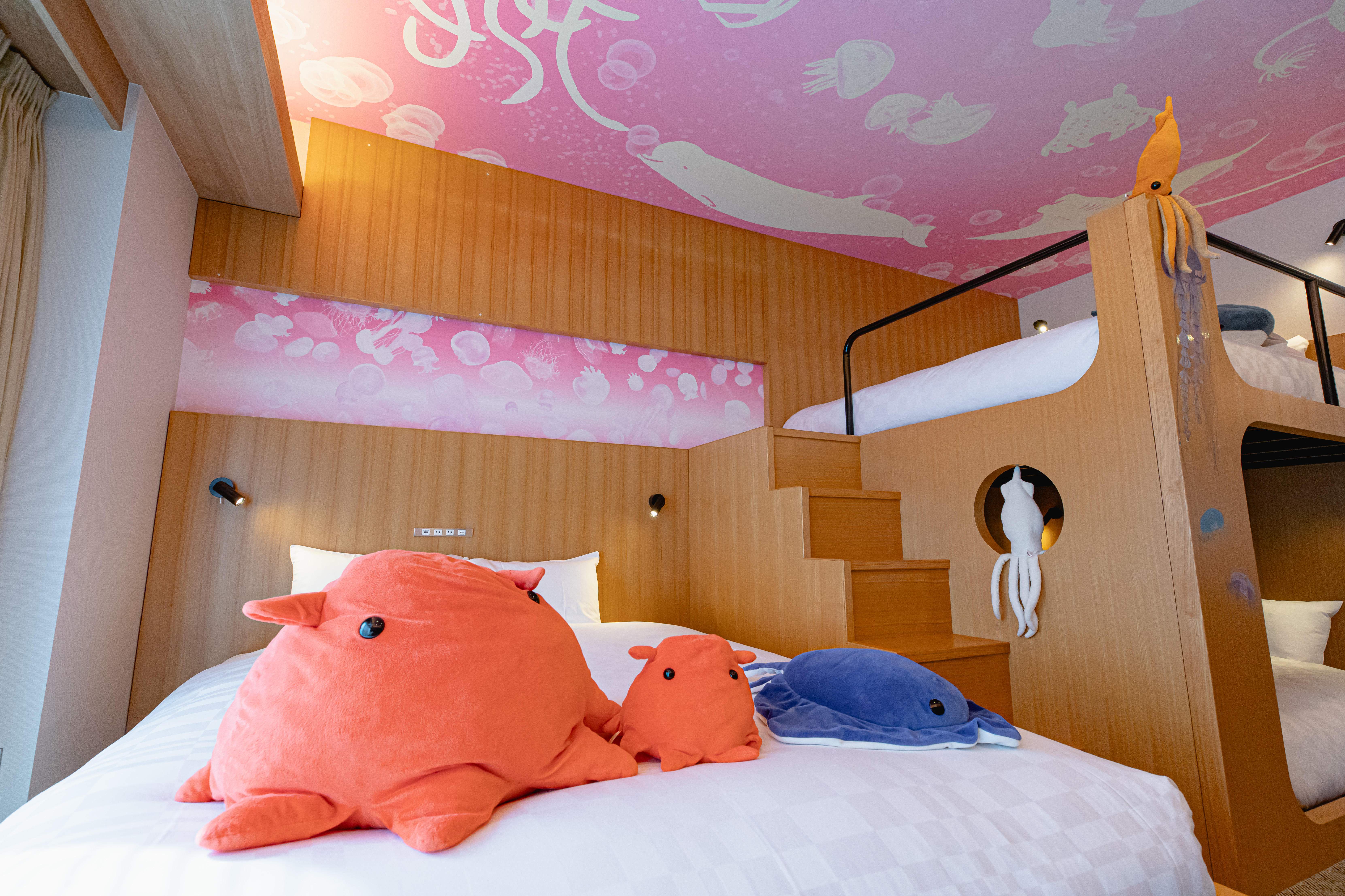 水族館カルチャールーム6名