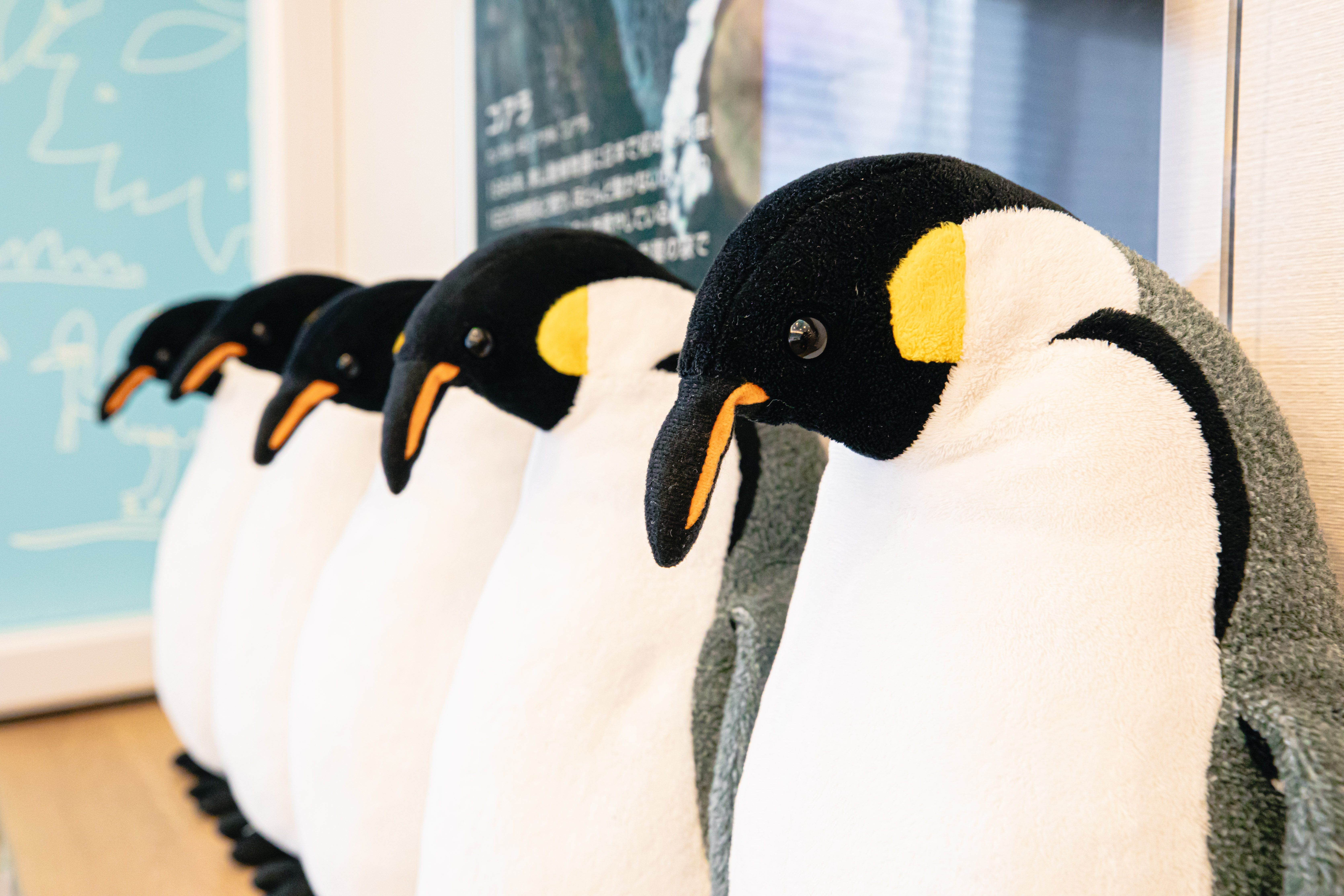 動物園カルチャールーム 4名