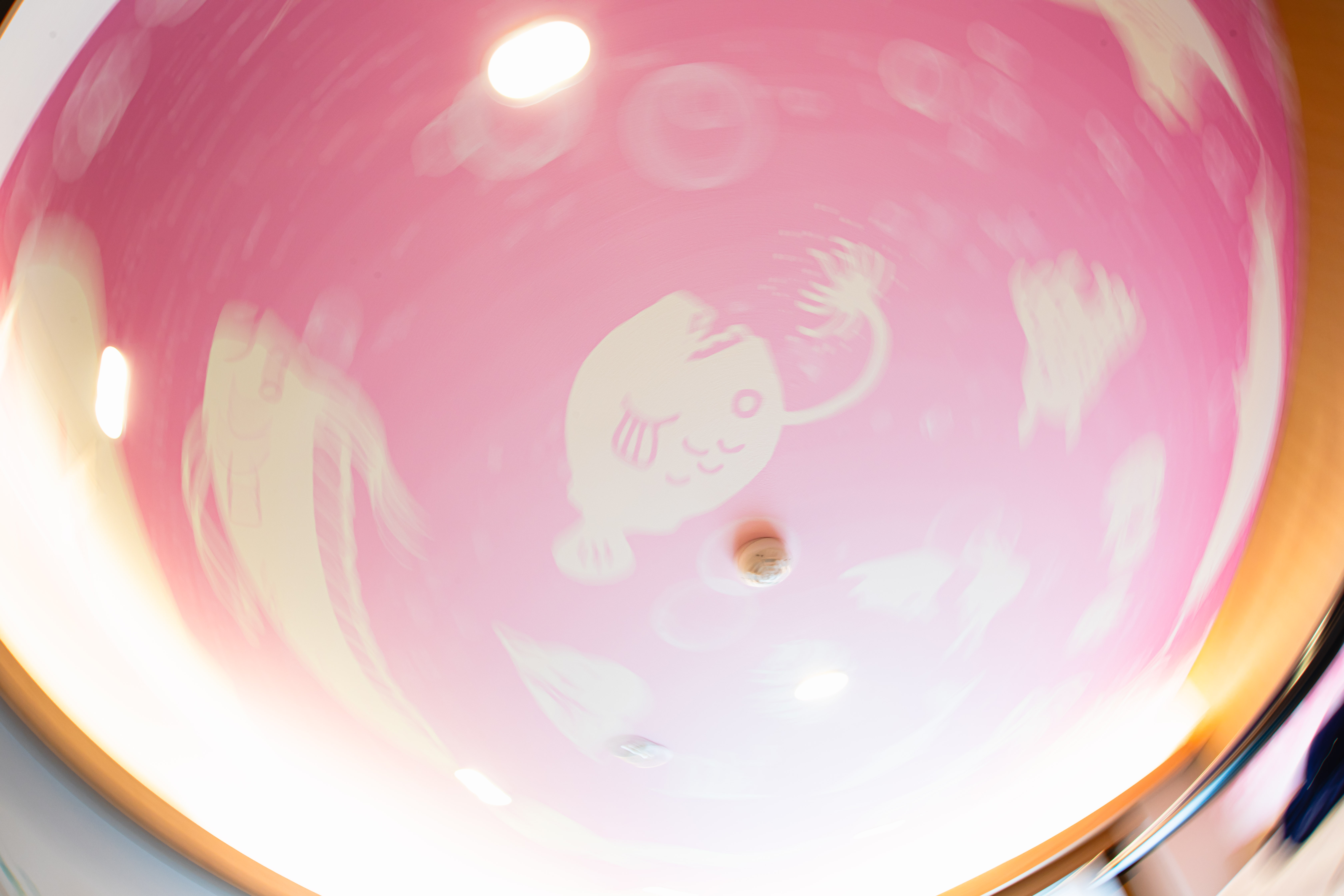 水族館カルチャールーム 6名