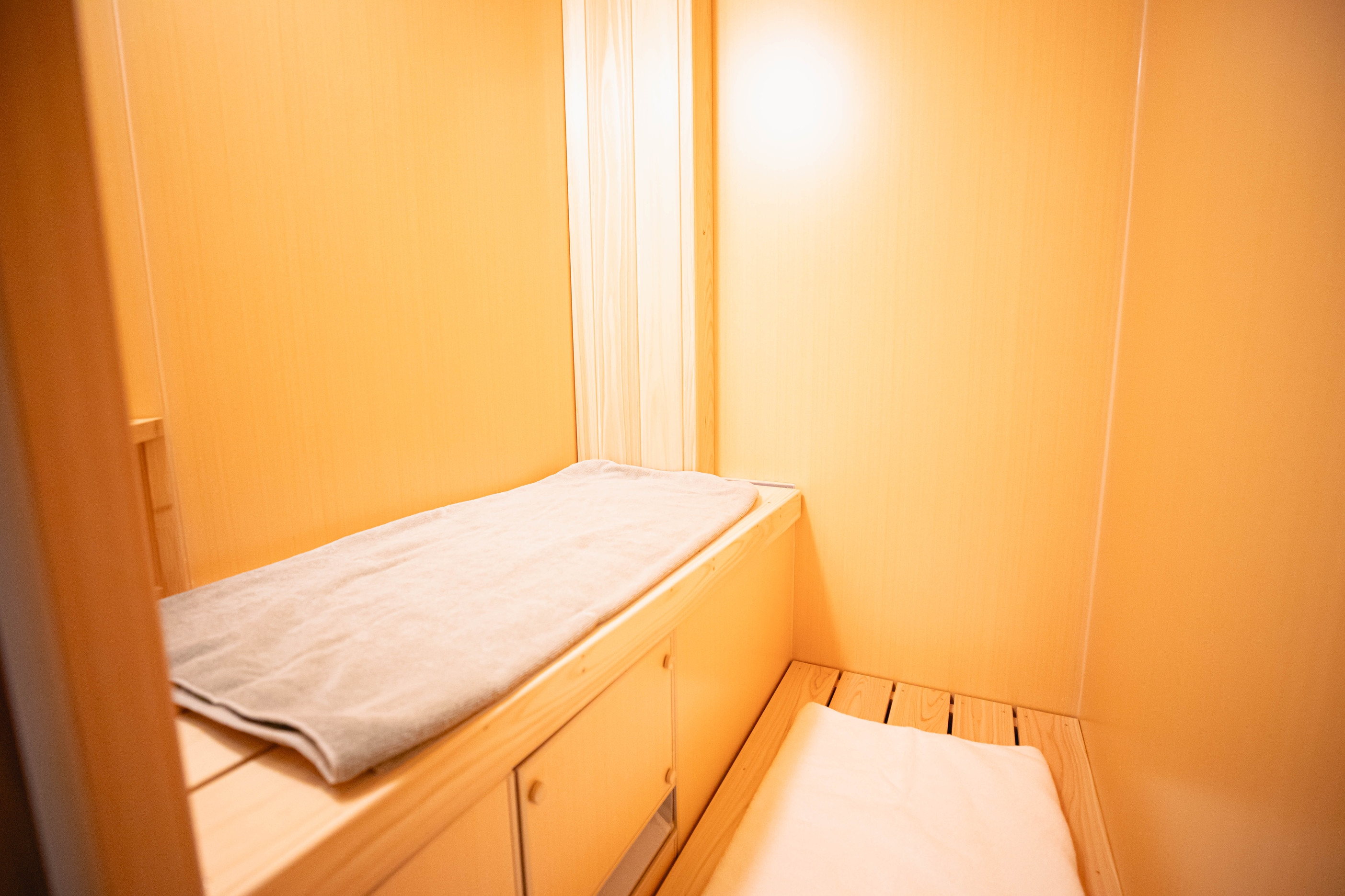 【1日1組限定販売】ミストサウナ120分×Wellness Room with ReFaで贅沢体験