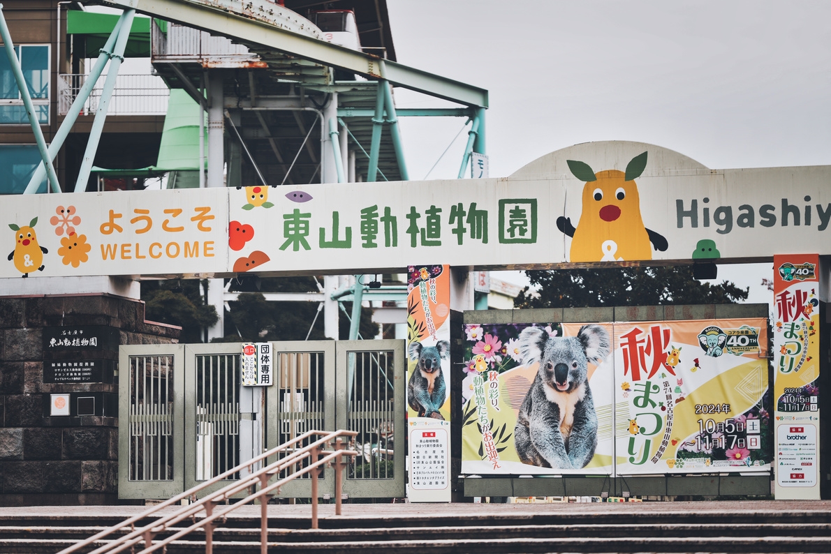 【夏休み限定】東山動物園大人2枚・入場券付きプラン！