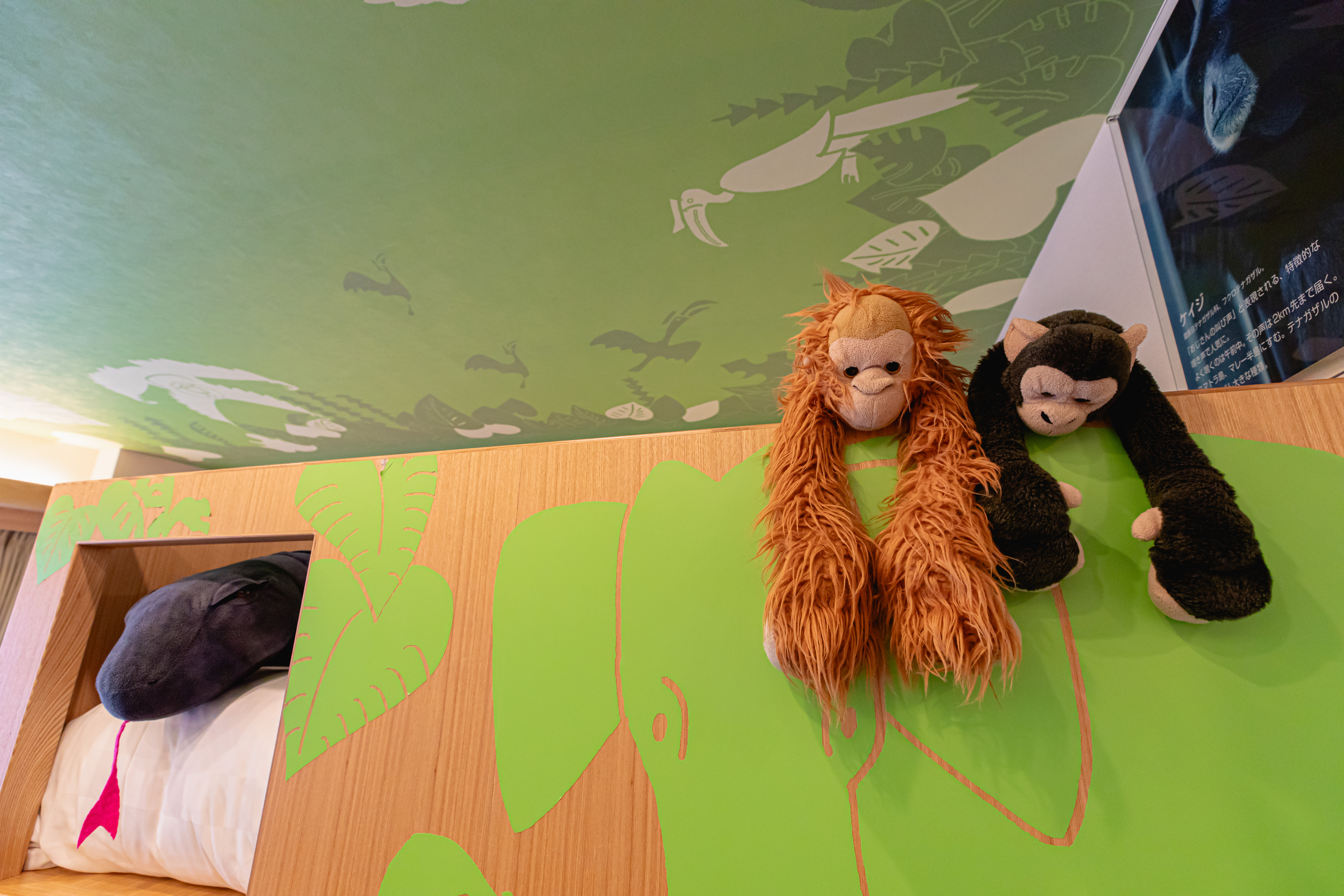 動物園カルチャールーム6名