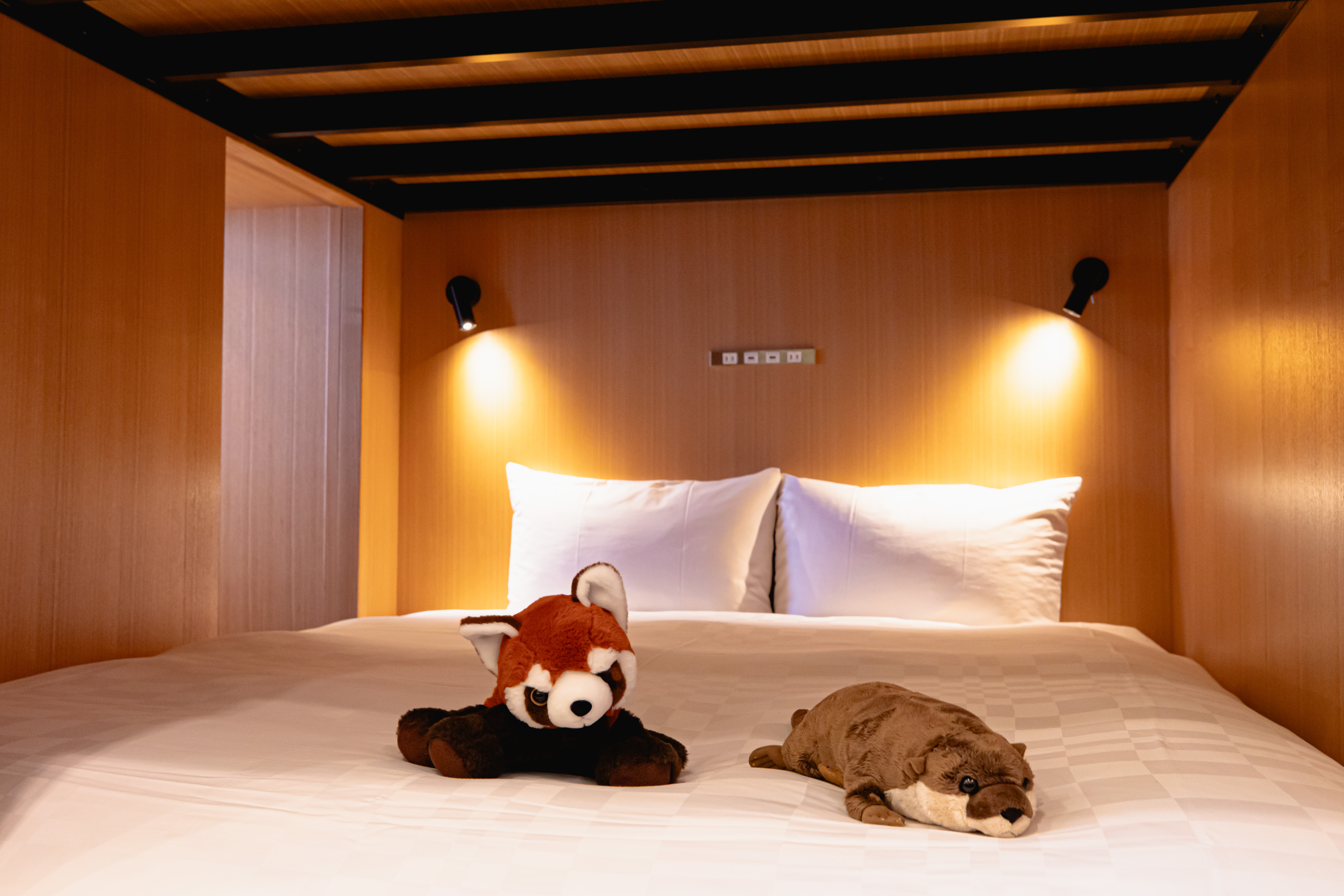 動物園カルチャールーム6名