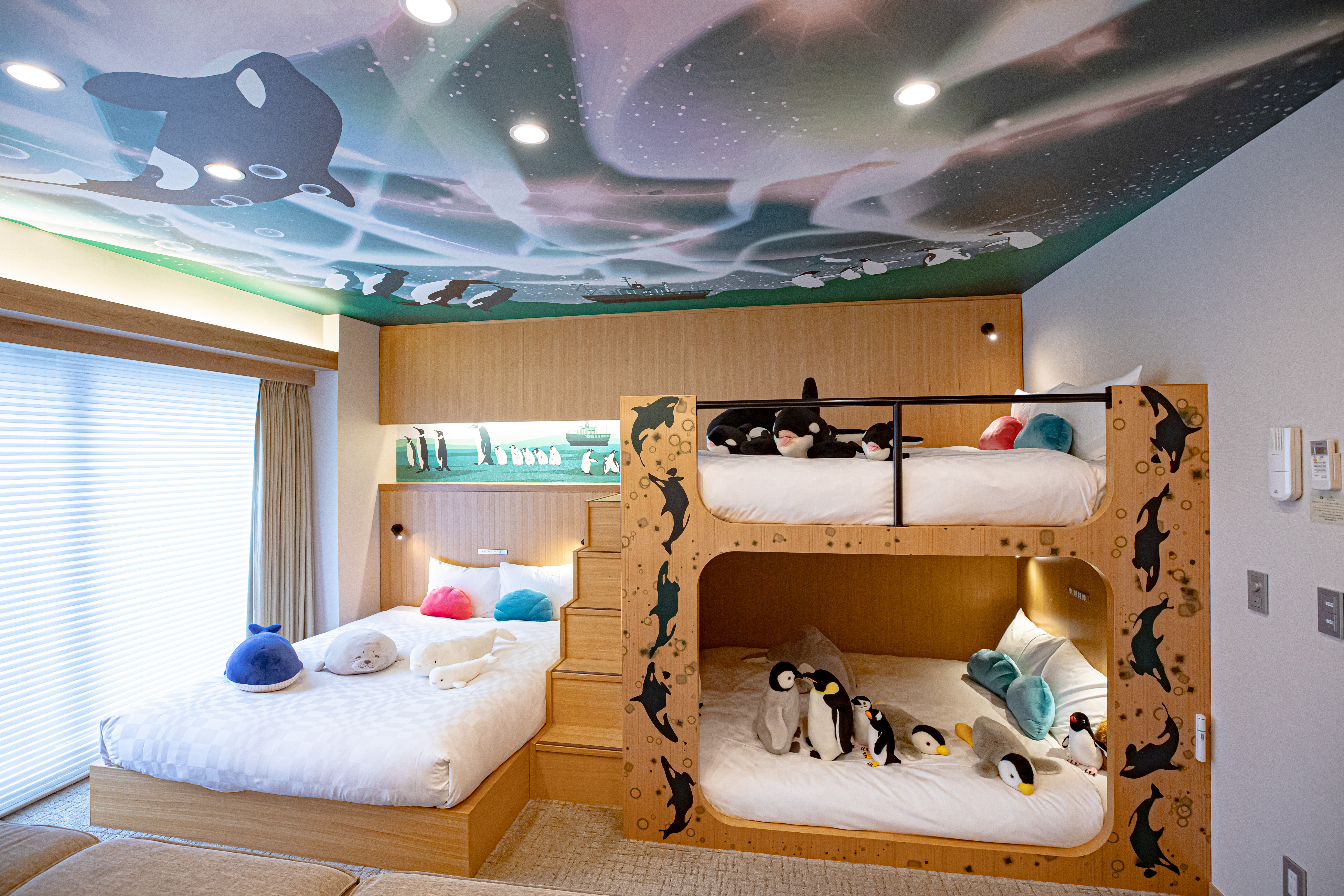 水族館カルチャールーム6名